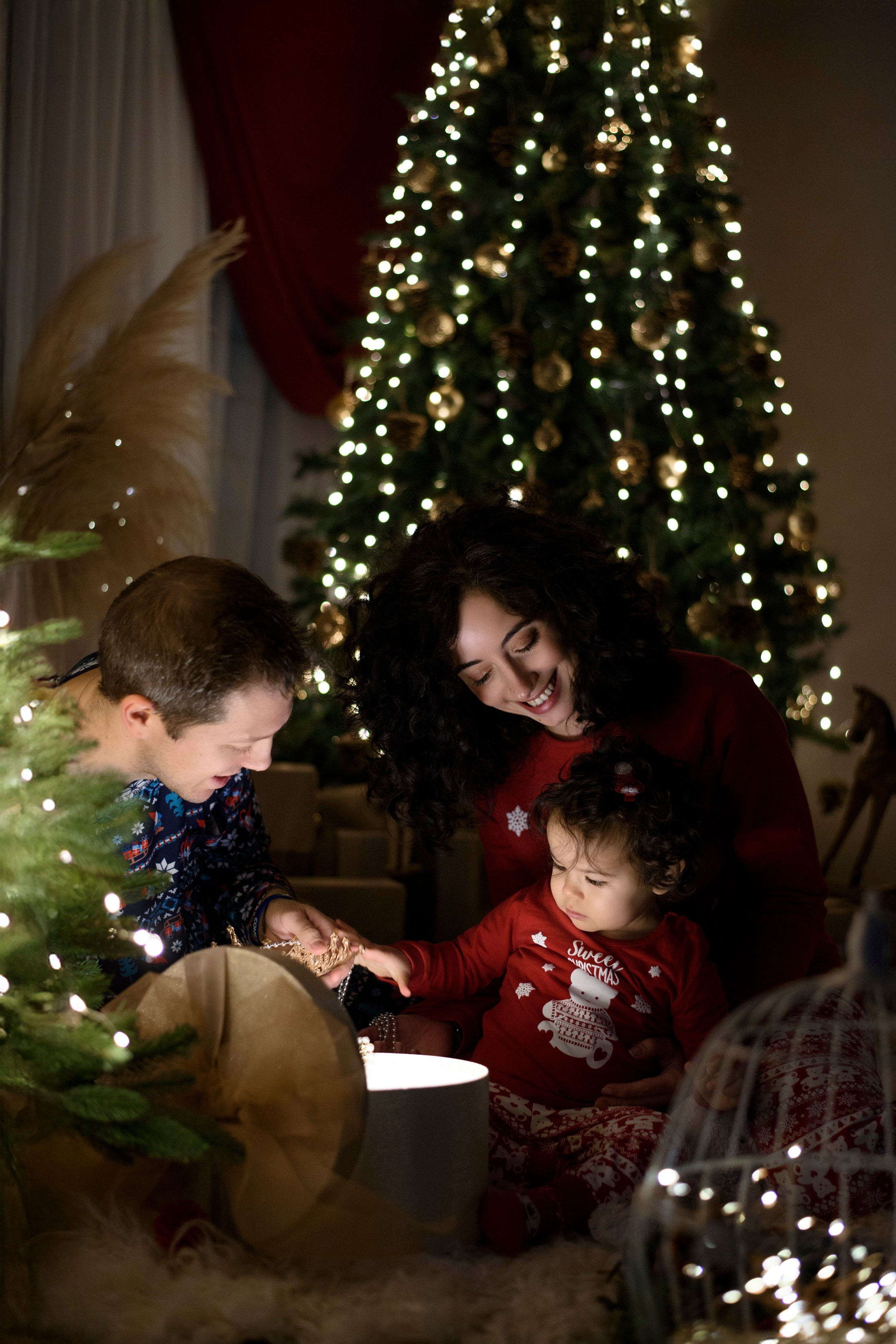 CHRISTMAS PORTRAIT EXPERIENCE. Natalia Maryach Photographer