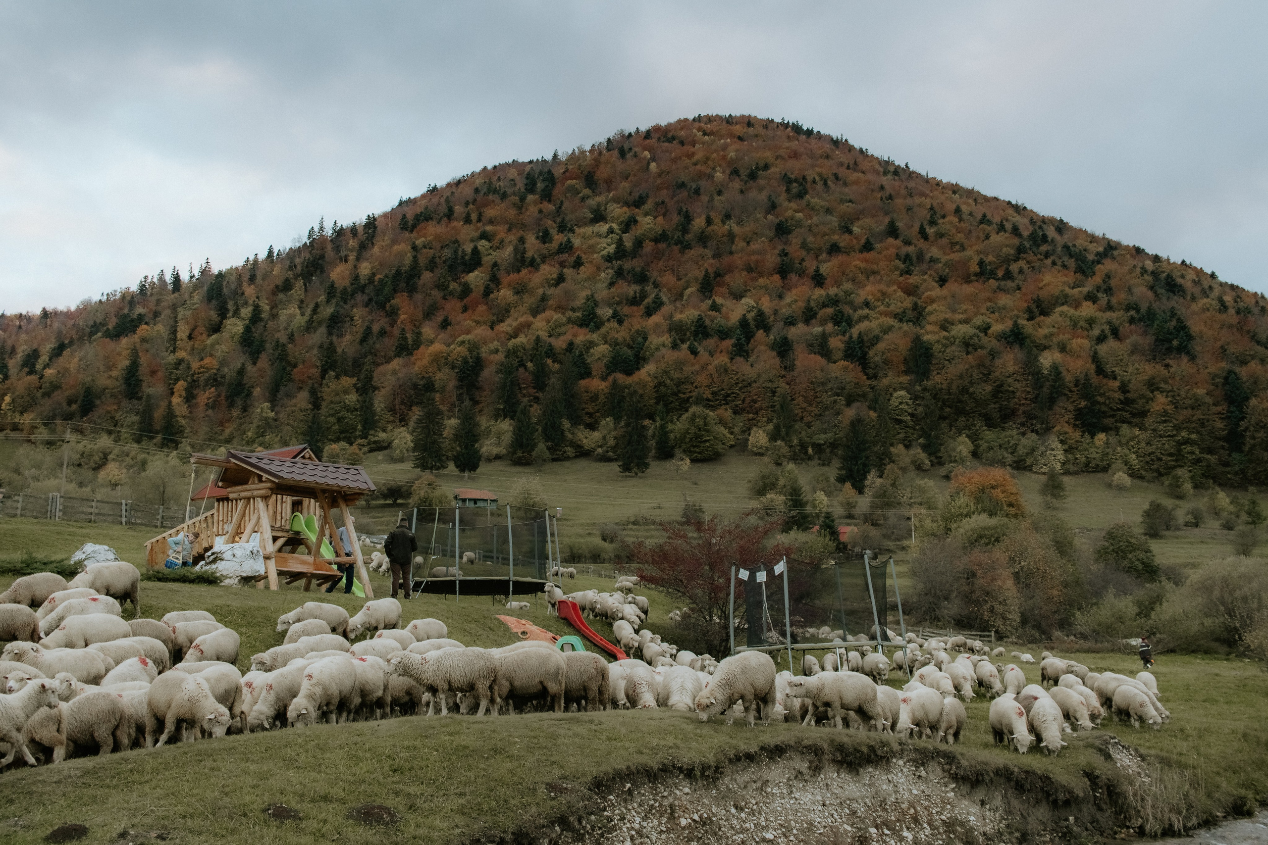 Razvan. Fotograf si videograf — evenimente si studio