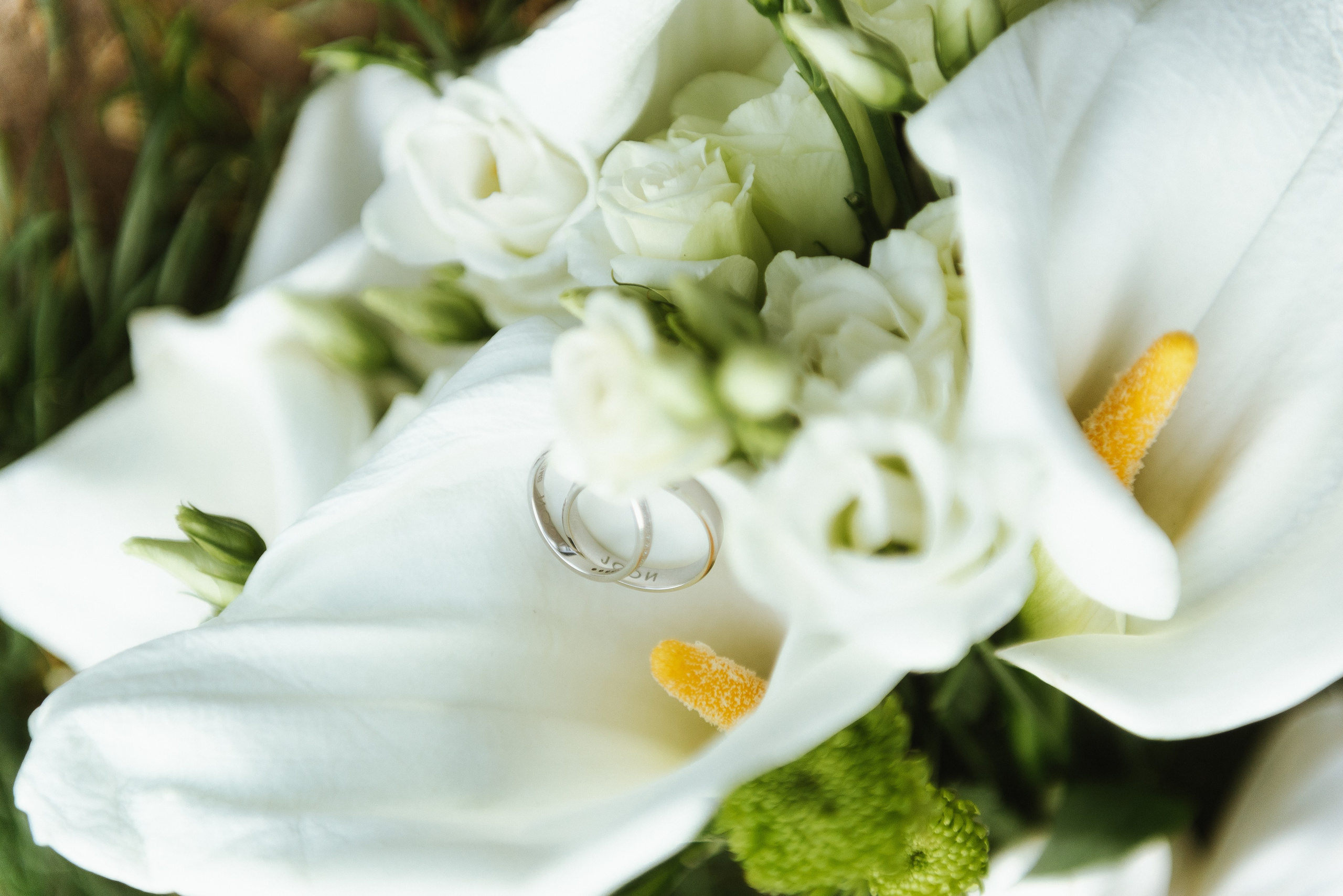 Jelena & Ivan. Vlada toskic wedding and event photographer