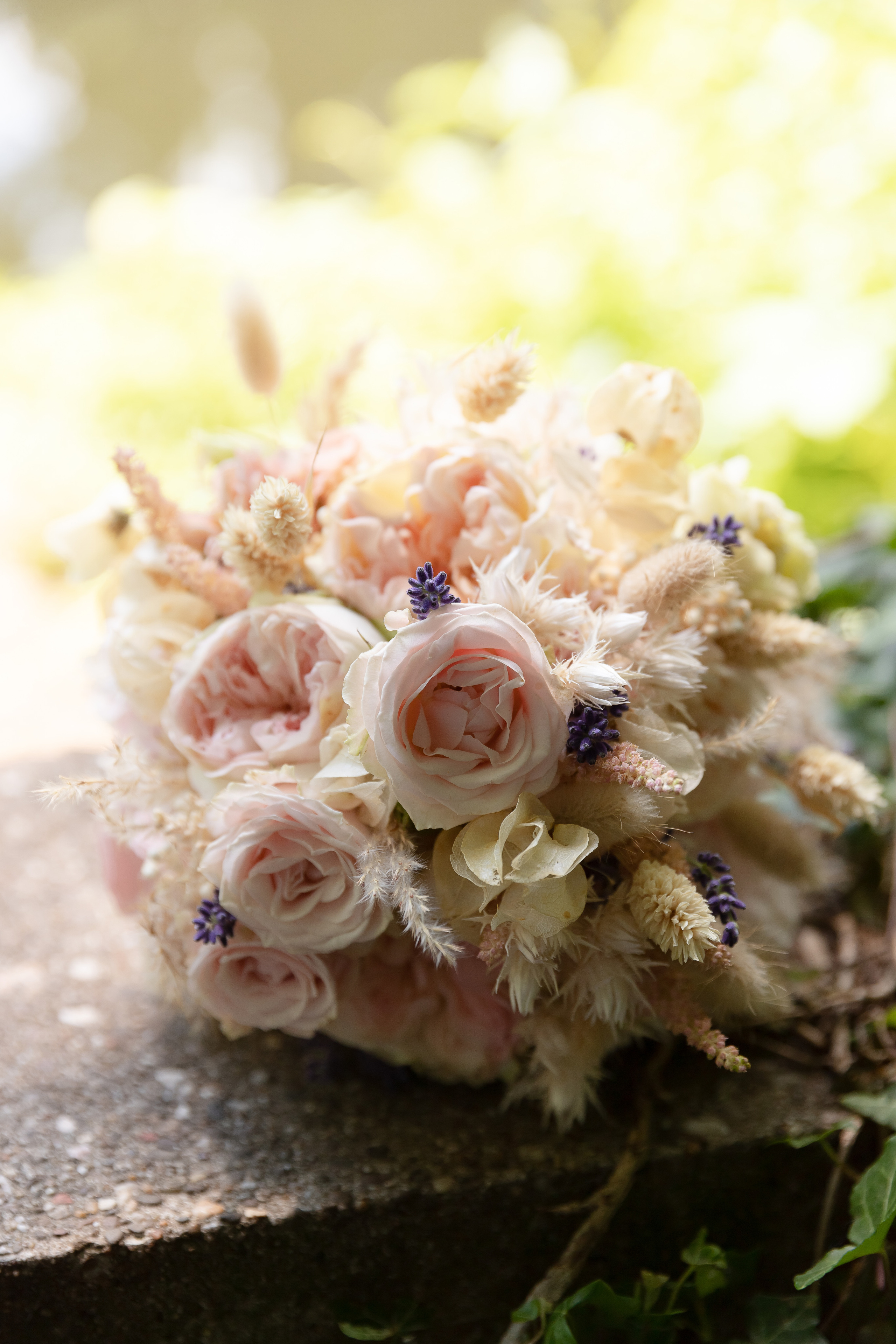 Tina & Fabian. Familien und Hochzeitfotograf in Molbergen, Cloppenburg, Münsterland