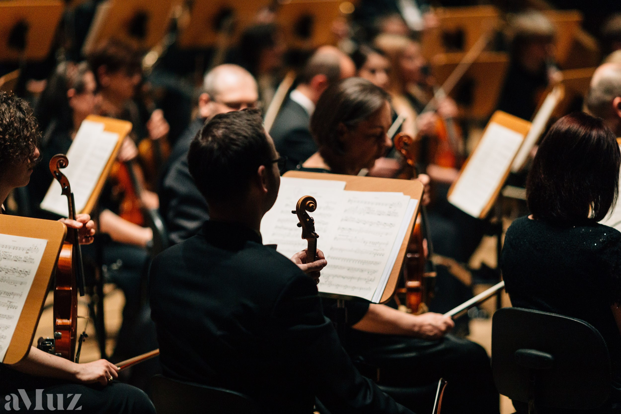 Filharmonia Bałtycka. Fotograf Ślubny Warszawa - Sesje Biznesowe Rodzinne Eventy