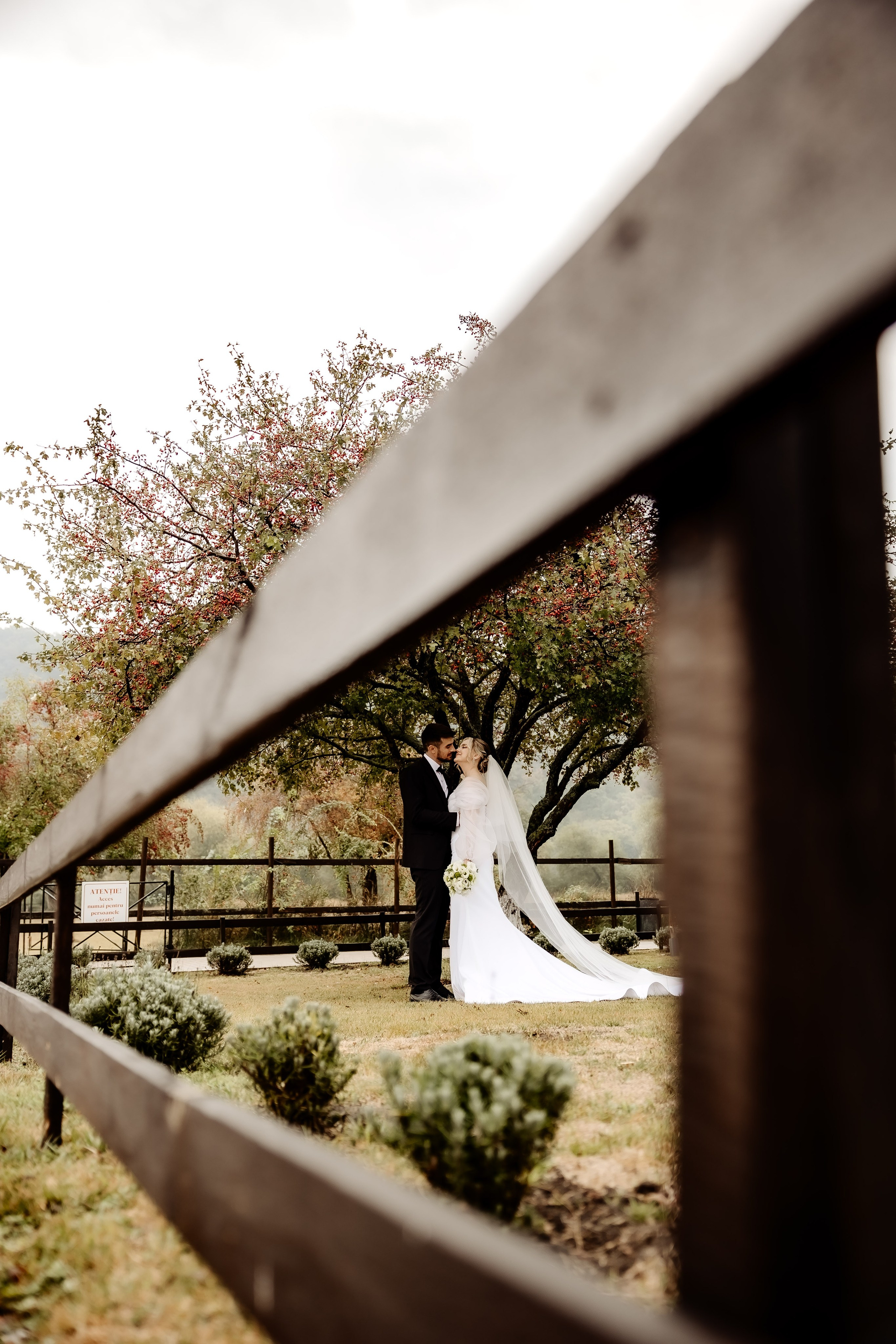 Nunta. Servicii Foto/Video