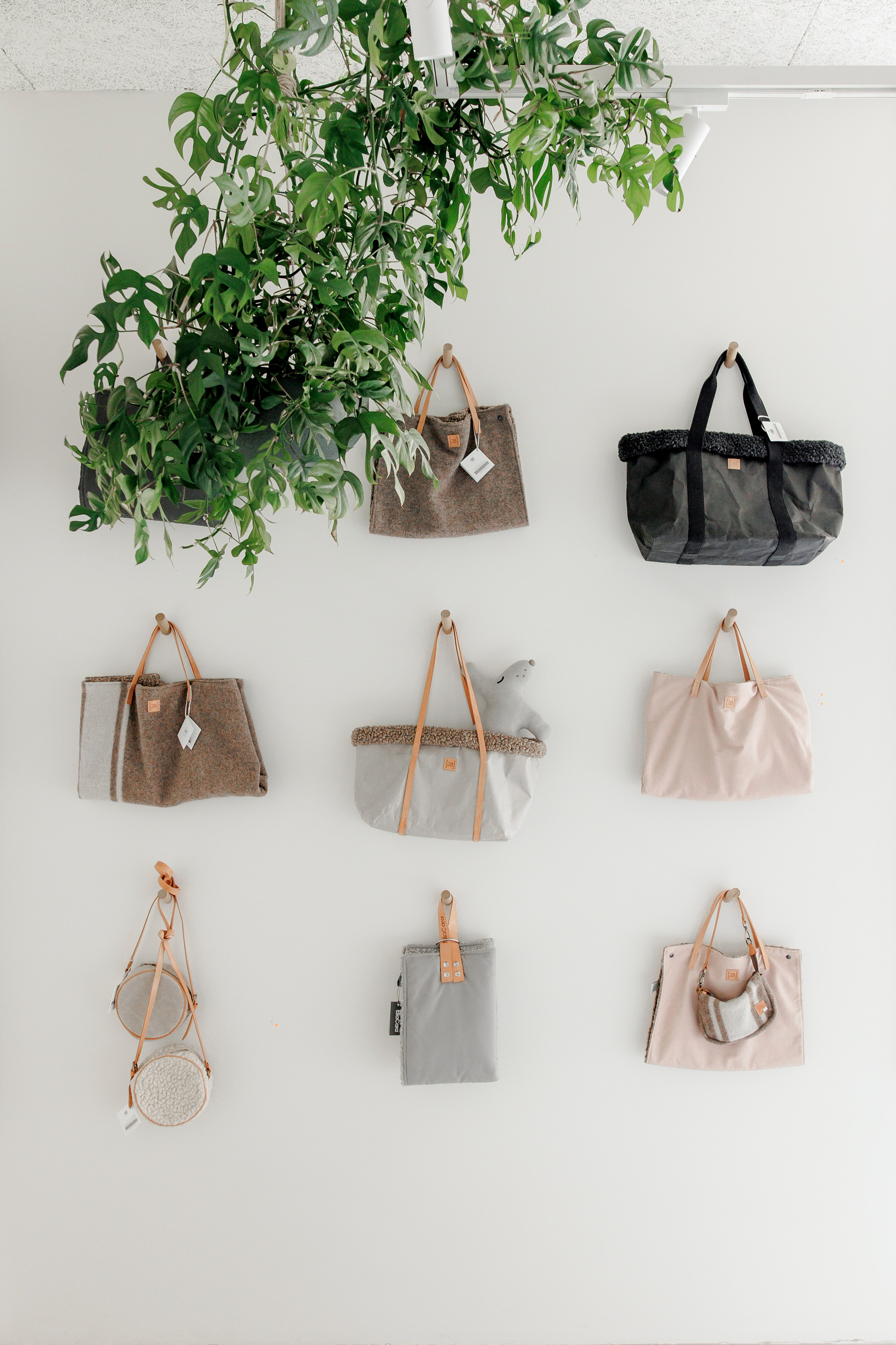 Bark & Bones. Familien- & Hochzeitsfotografin Schweiz. Valeria Diaz in Zürich und Umgebung