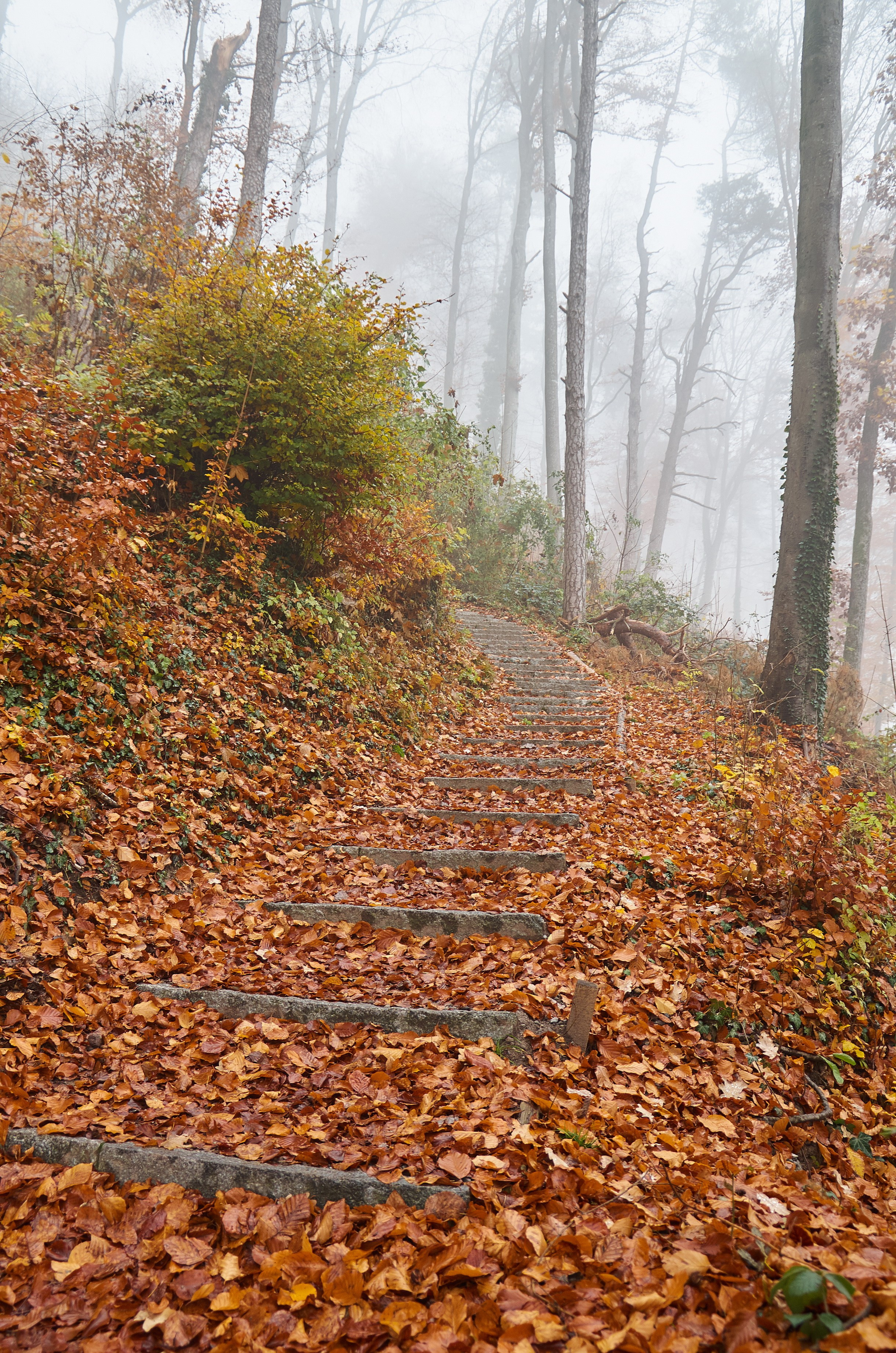 Landscapes by Yury Popkov. Yuri Popkov | Photographer