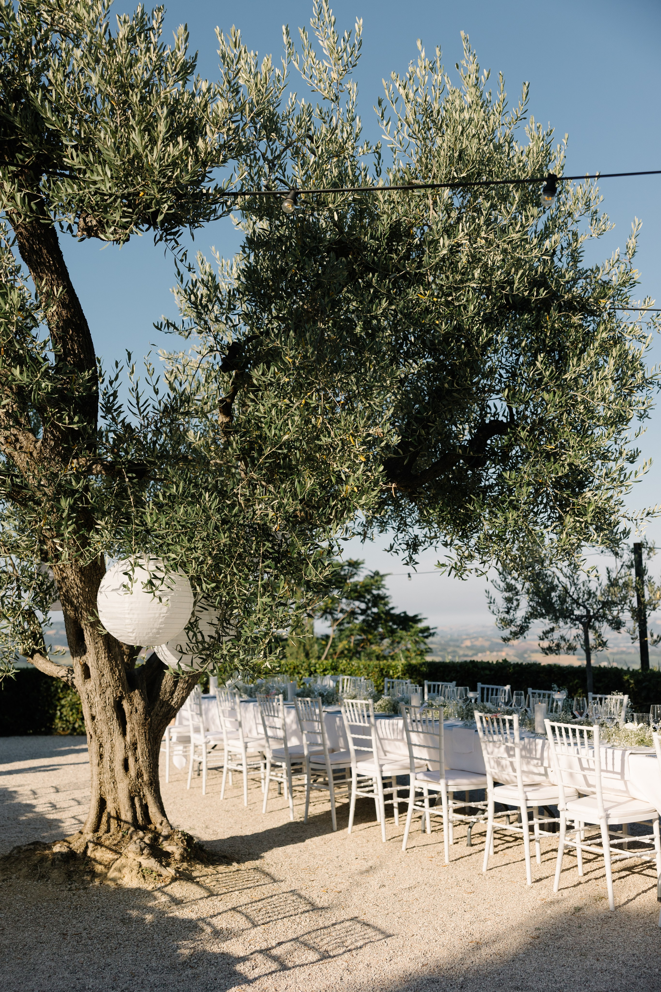 Sofia&Falk. Wedding photographer Italy