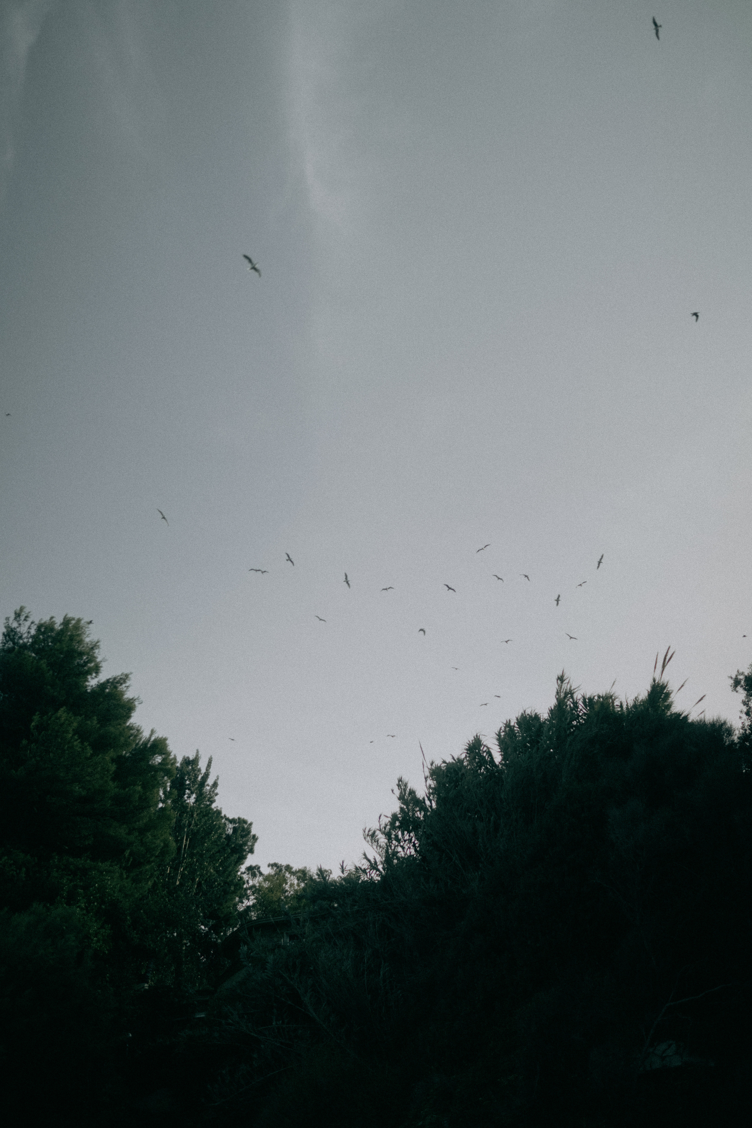 Ksenia & Artur. Paola fotógrafo / videografo de bodas en Barcelona