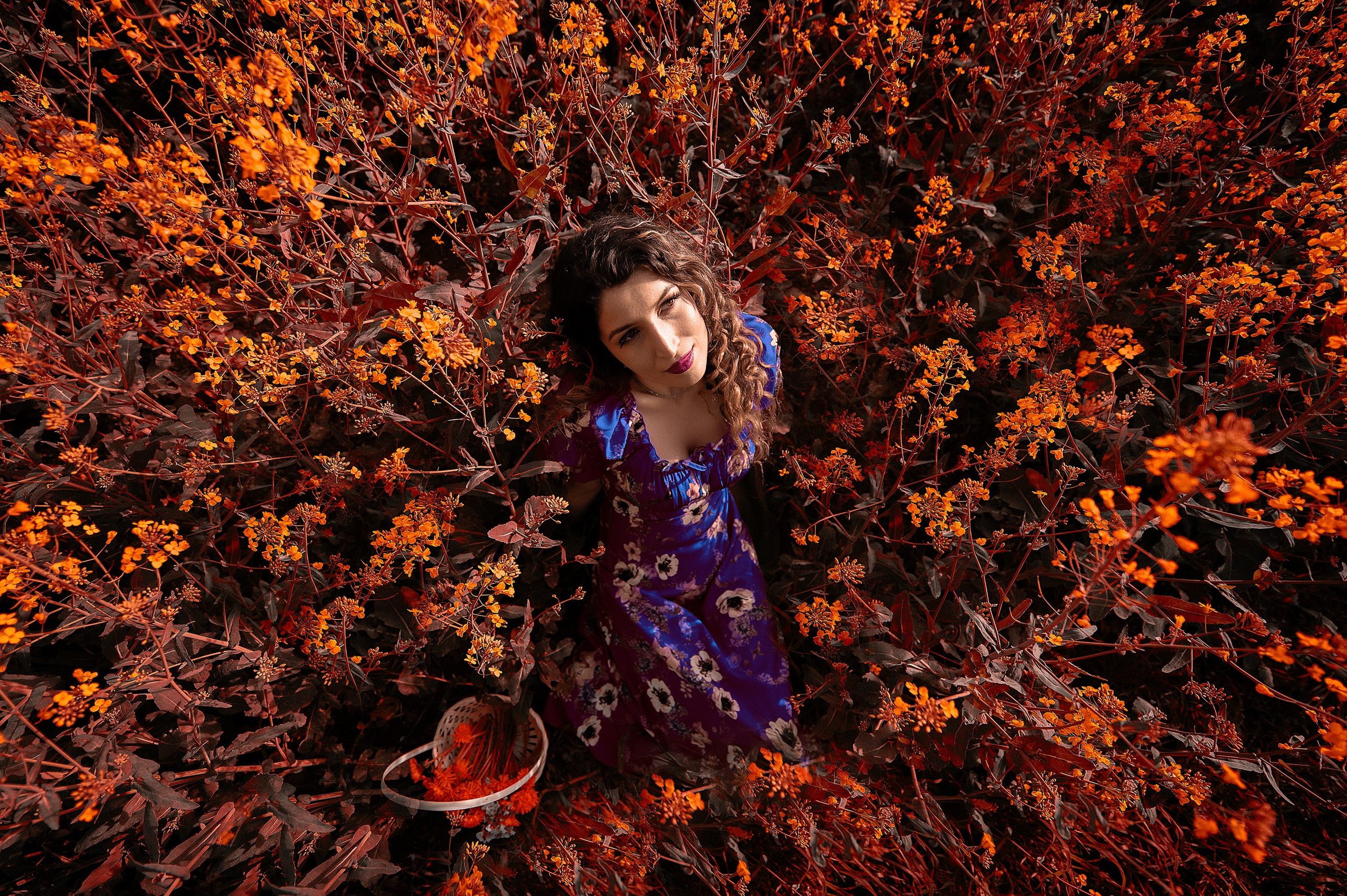 Familien- und Hochzeitsfotograf Shestak Ivan