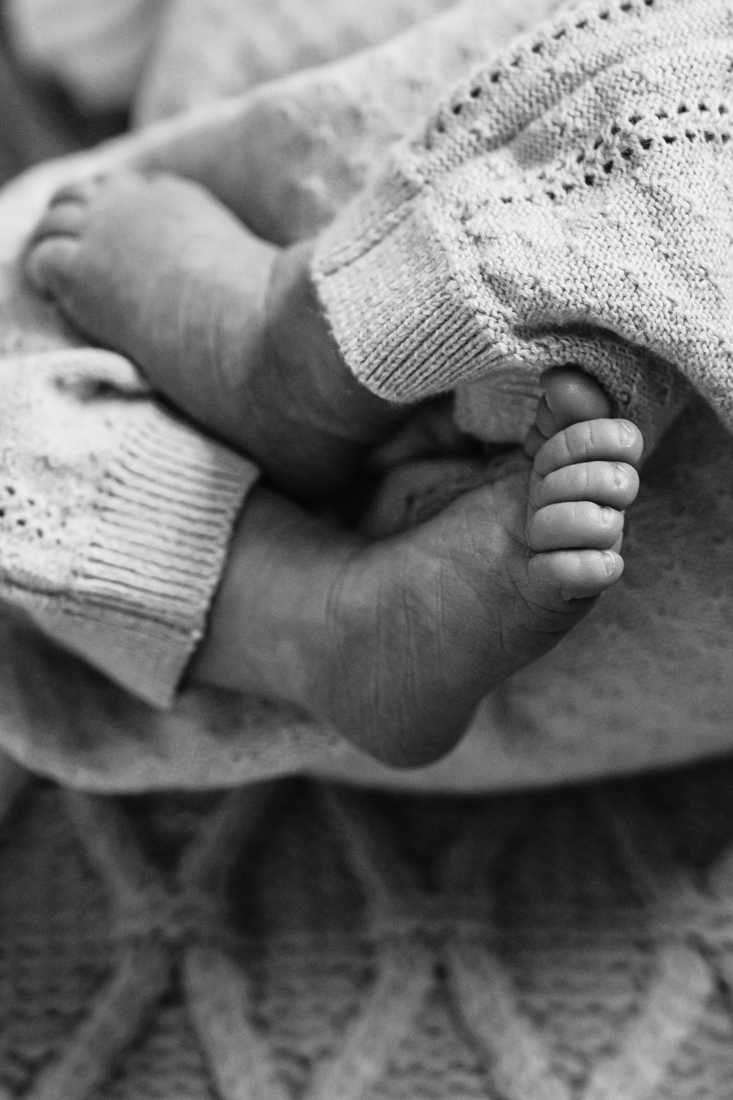 Newborn photographer Newcastle