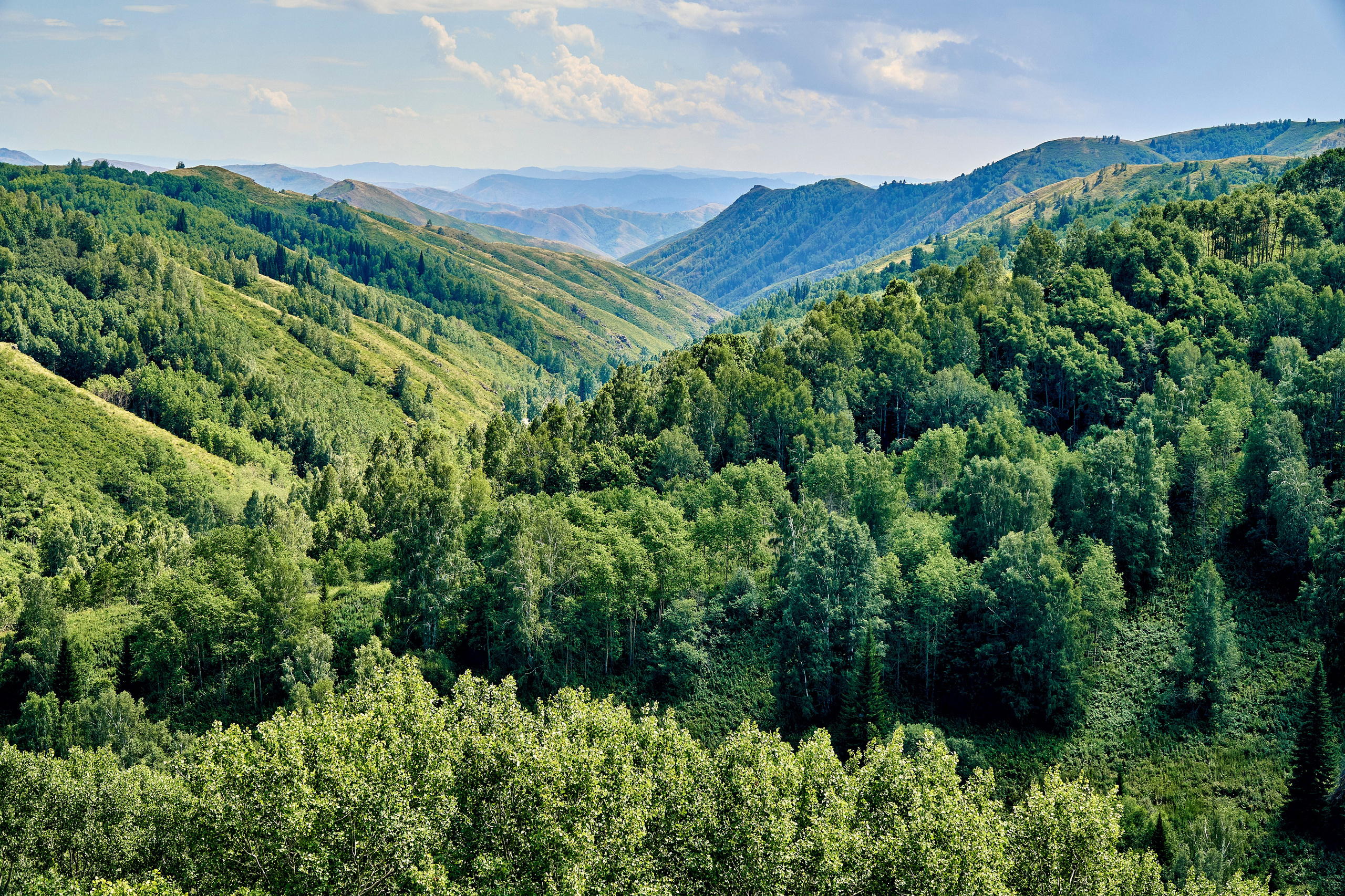 Бухтарма. Андрей Шипилов — Фотография & Видеография