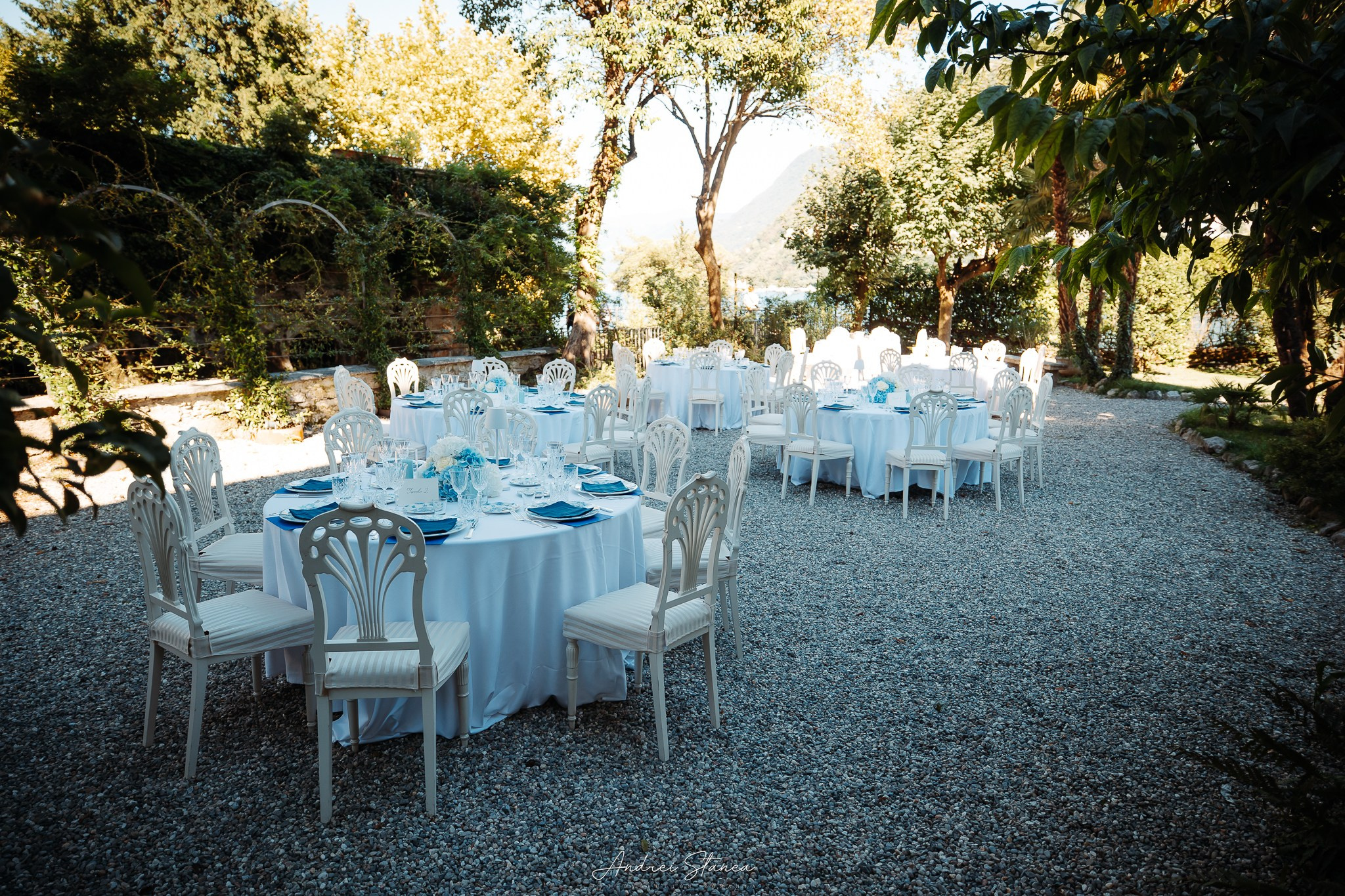 Portofolio. Andrei Stanea