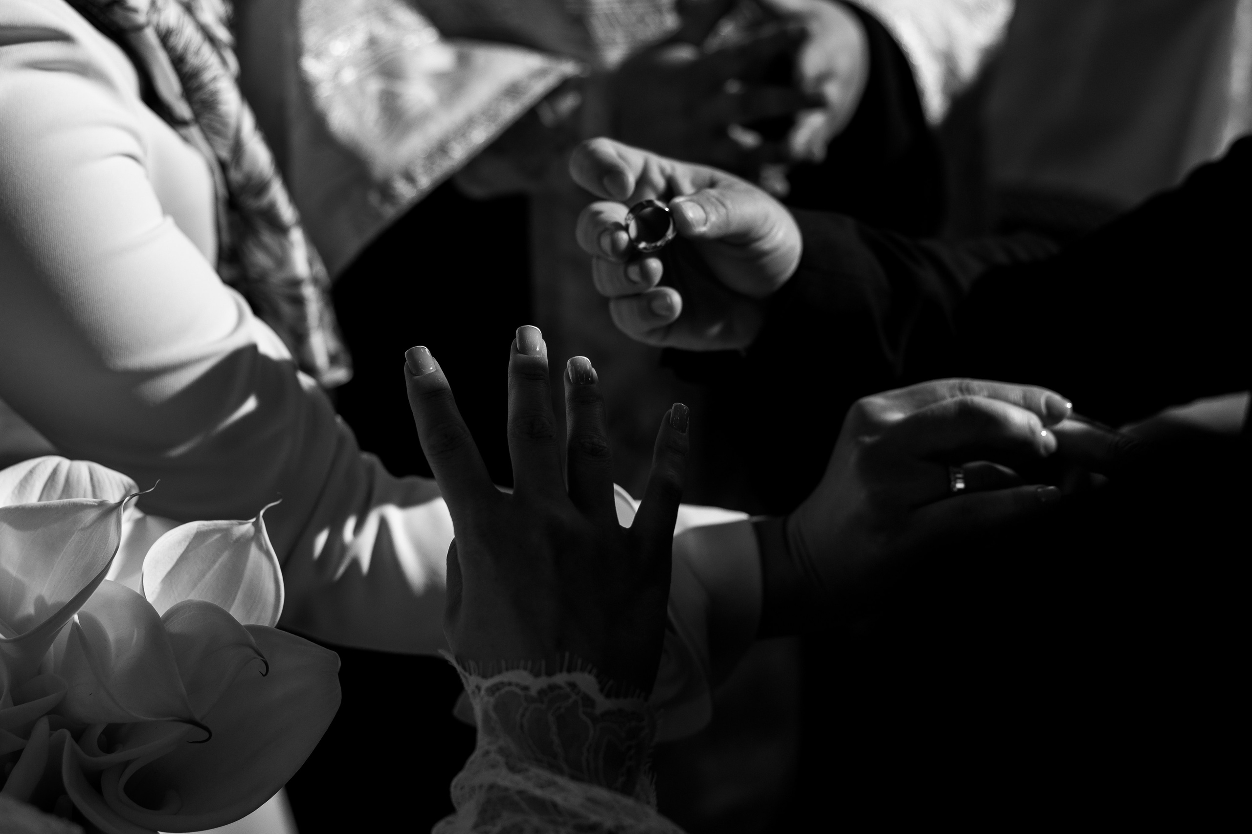 Zaxi - Franck & Panaghia. Servicii foto-video!