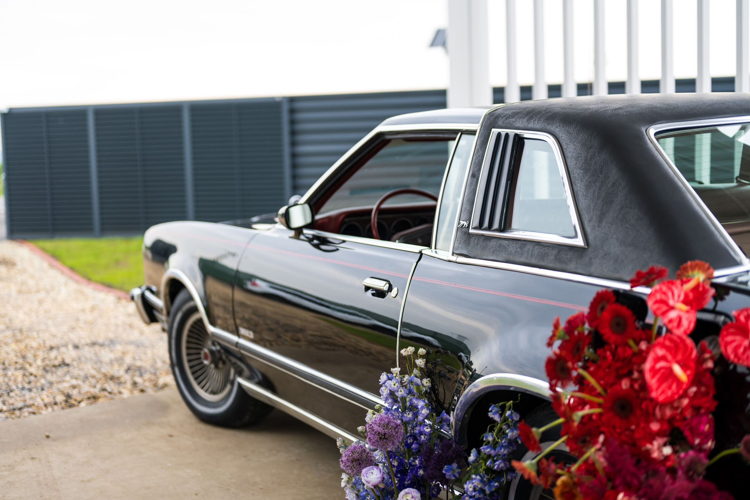 Ana Maria Dragan Fotograf Evenimente