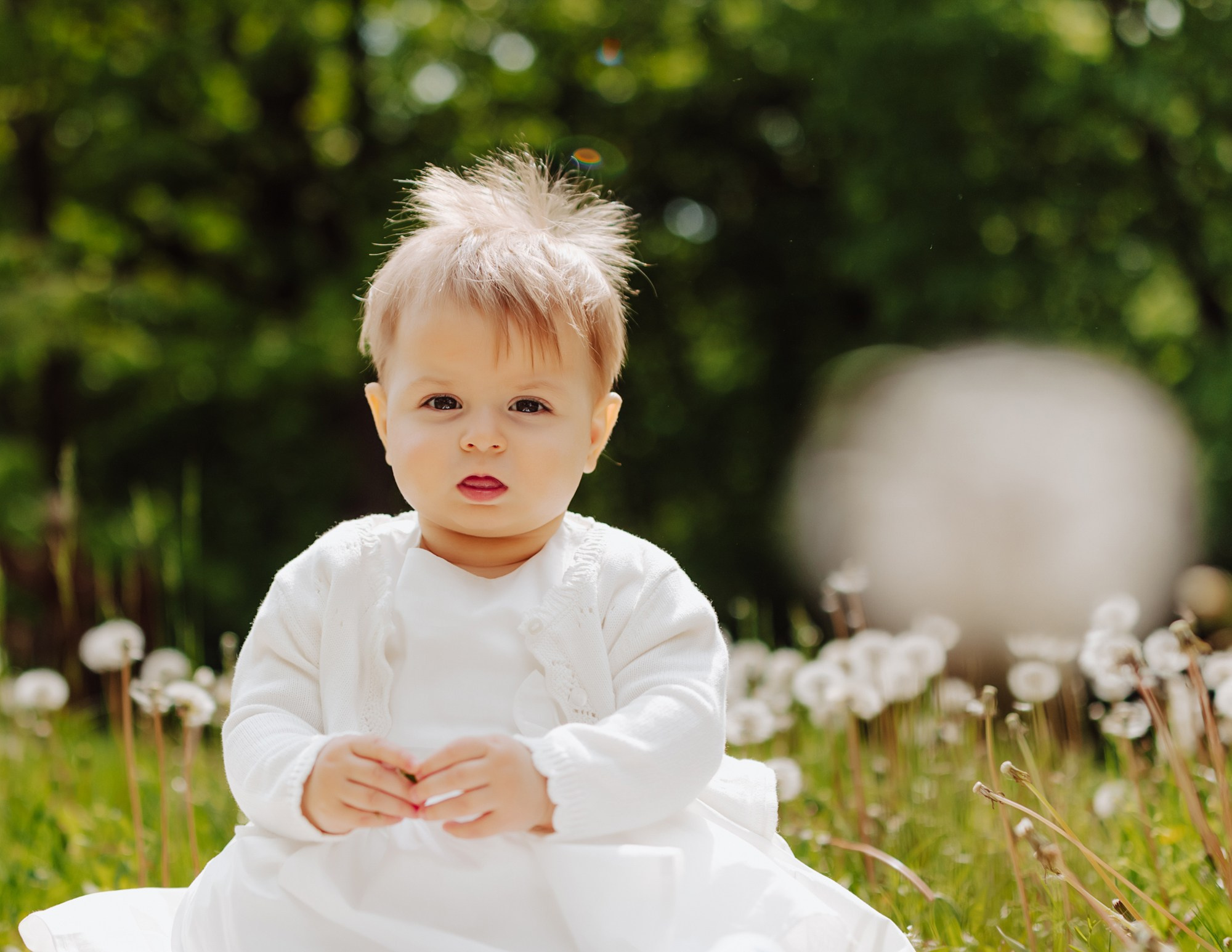 Ilinca. Fotograf și videograf de nuntă R. Moldova, Romania