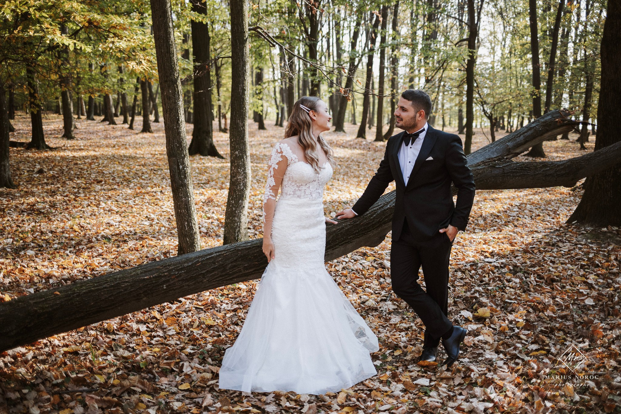 Alexandra & Laurentiu | Padurea Bucium Iasi