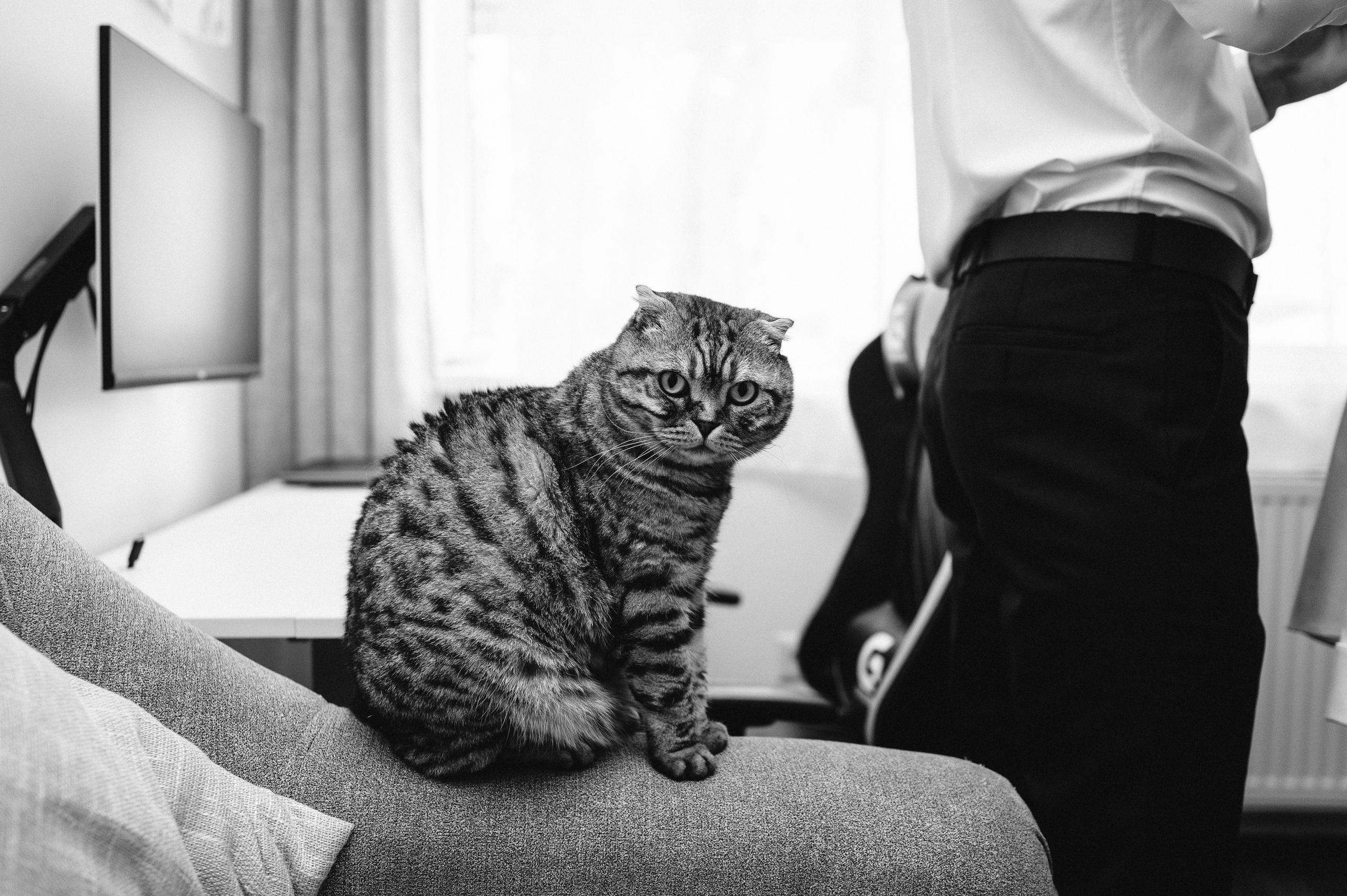 Adina și Ciprian. Valentin Melen - fotograf de nunta 🤍