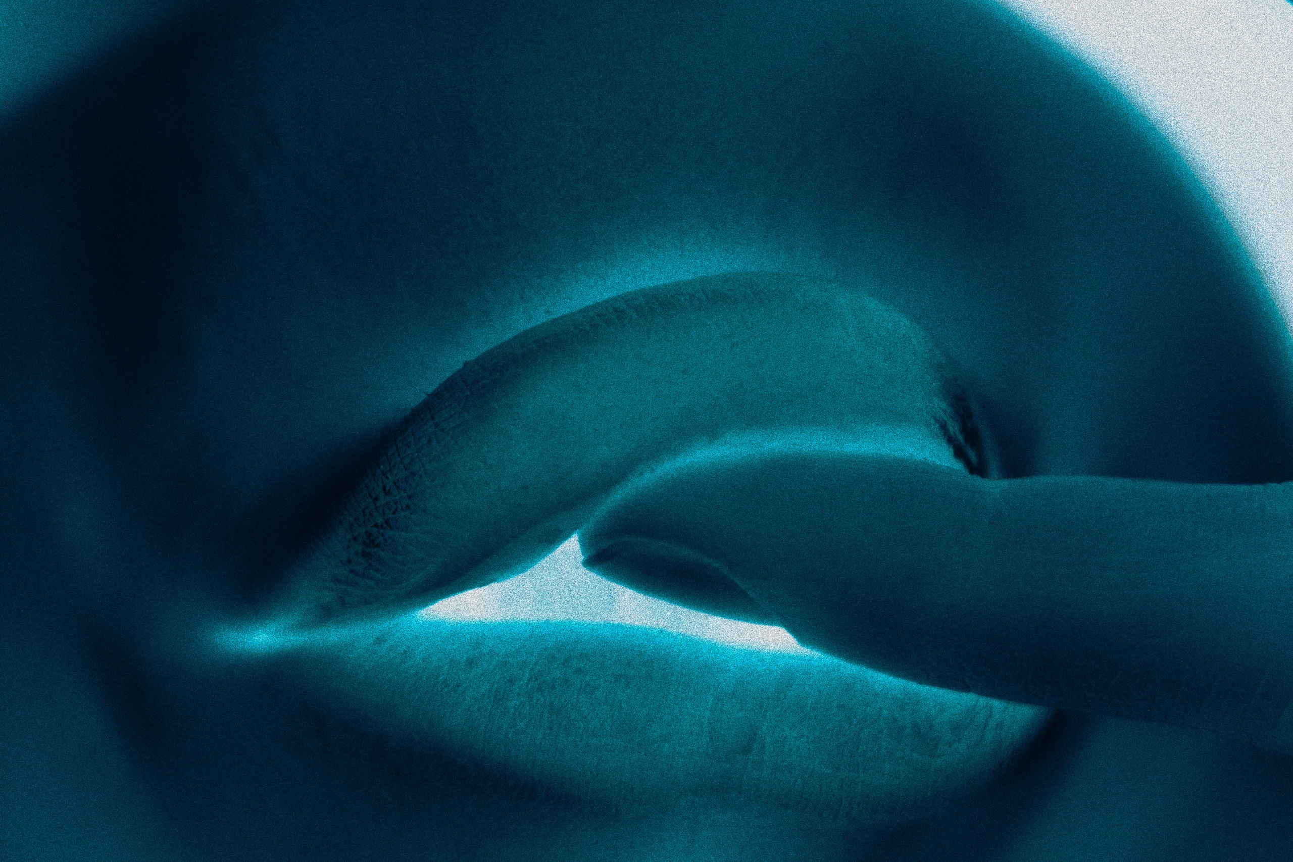 Datos de Contacto, Fotógrafo Valencia. Huskov Stanislav - Fotógrafo Barcelona, Valencia, España