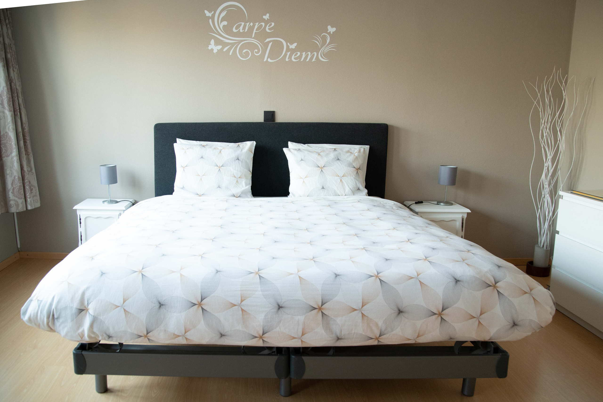 Carpe Diem. Tatyana Van Hedent een fotograaf te Zele, Oost-Vlaanderen