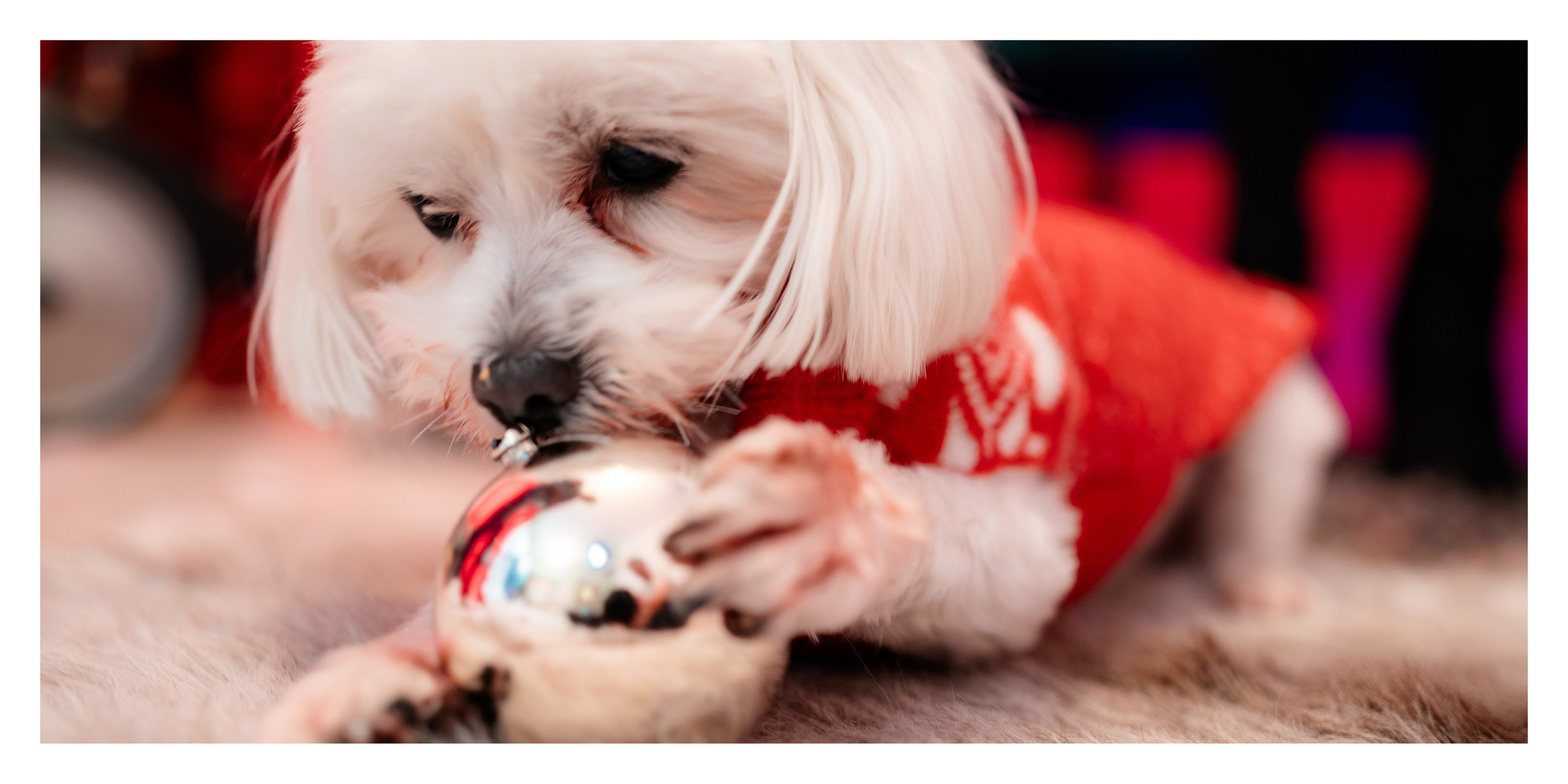 Album Craciun Alexandrina