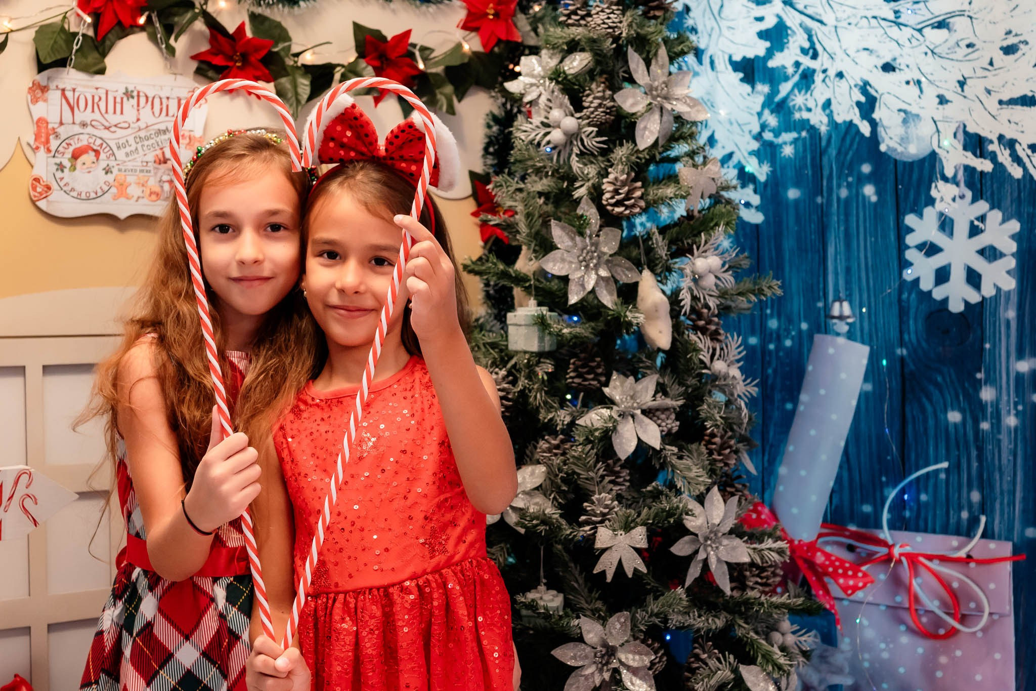 Sedinta Craciun Alina