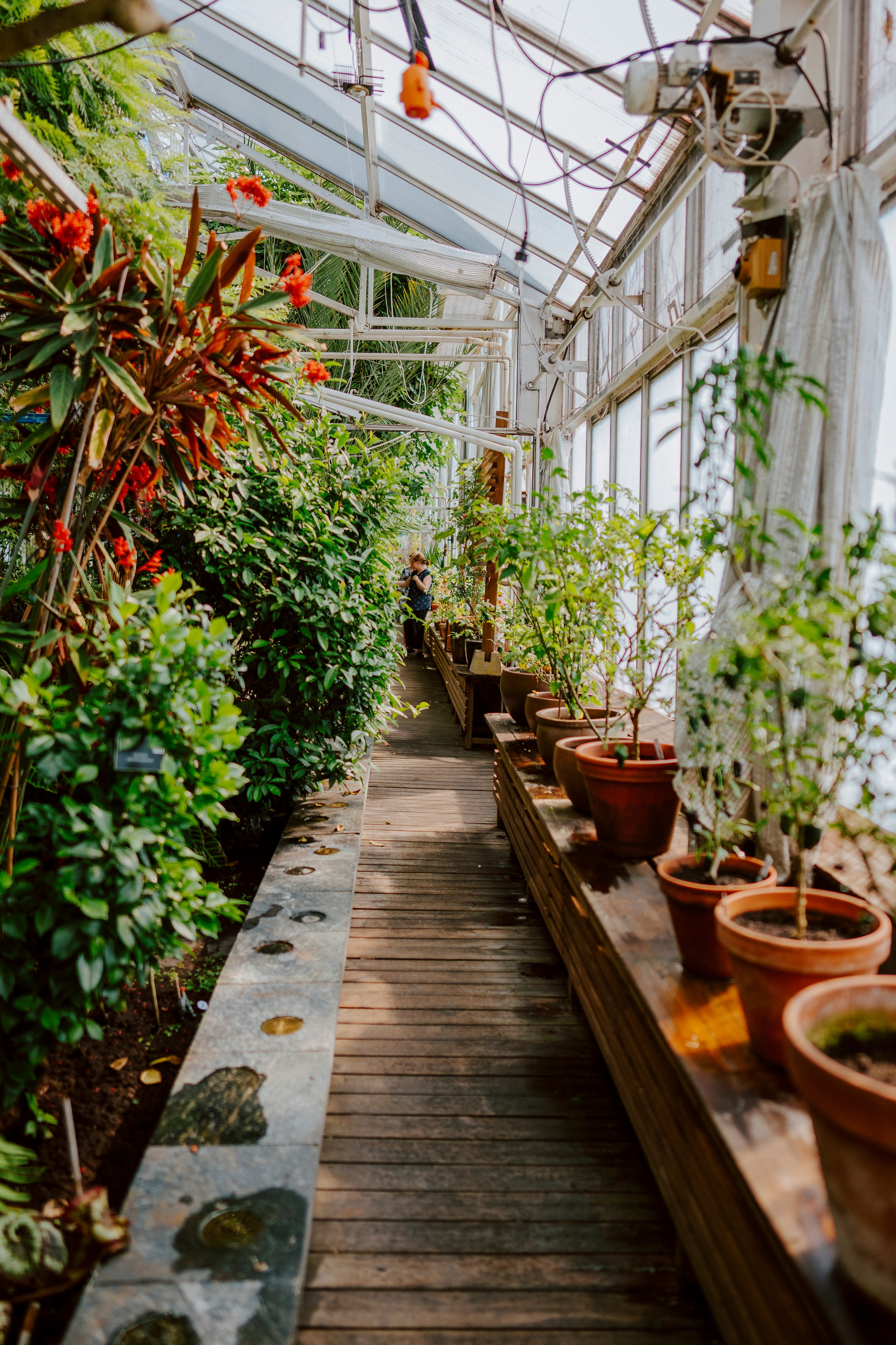 Gallery. Natasha Shakh