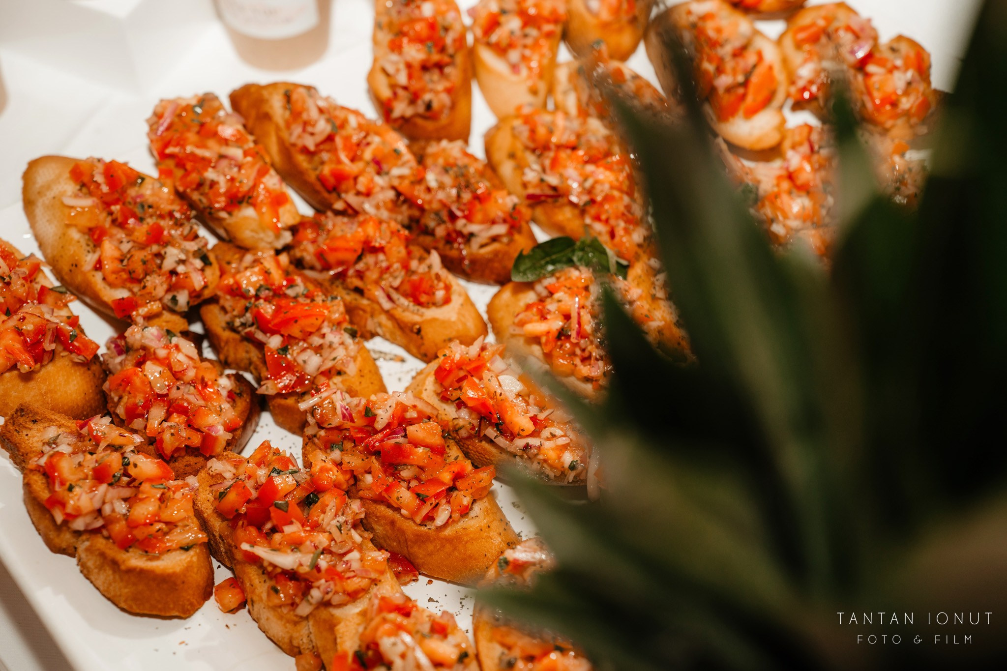 MATTHIAS-ANDREI. TANTAN IONUT FOTO & FILM