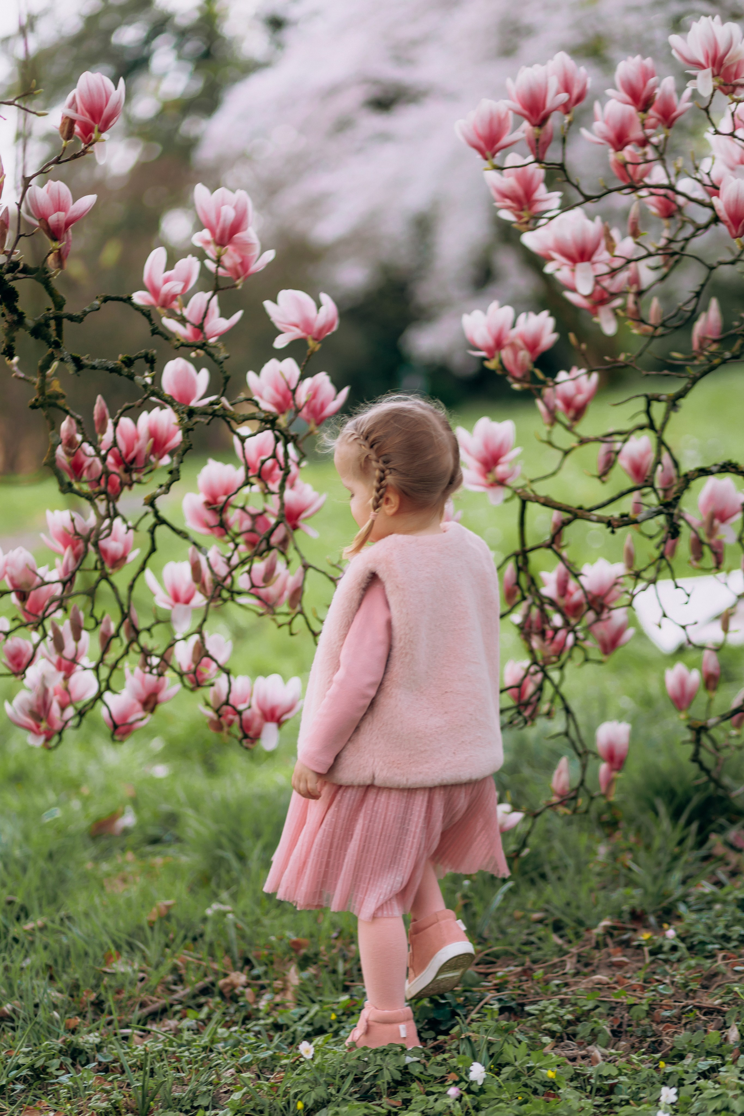 Tatiana, Alisa, Daria. Wedding and Family Photograph