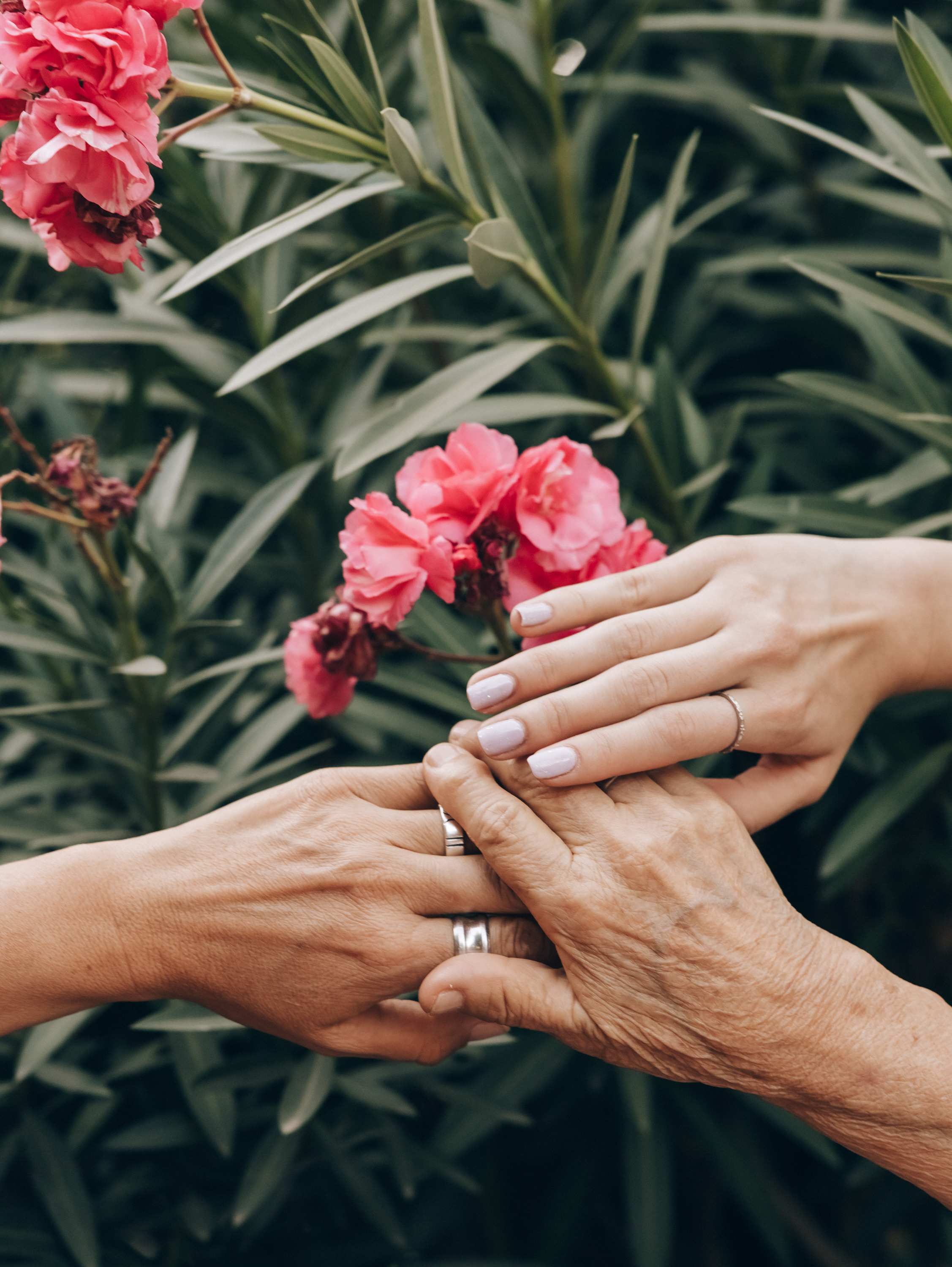 Three Generation Of Women. Lifestyle and Family Photographer in Pisek Oxana Telupilova