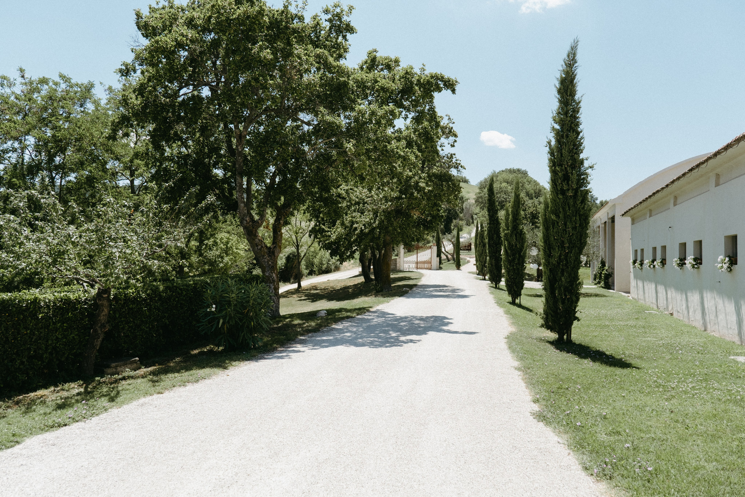 Sofia&Falk. Wedding photographer Italy