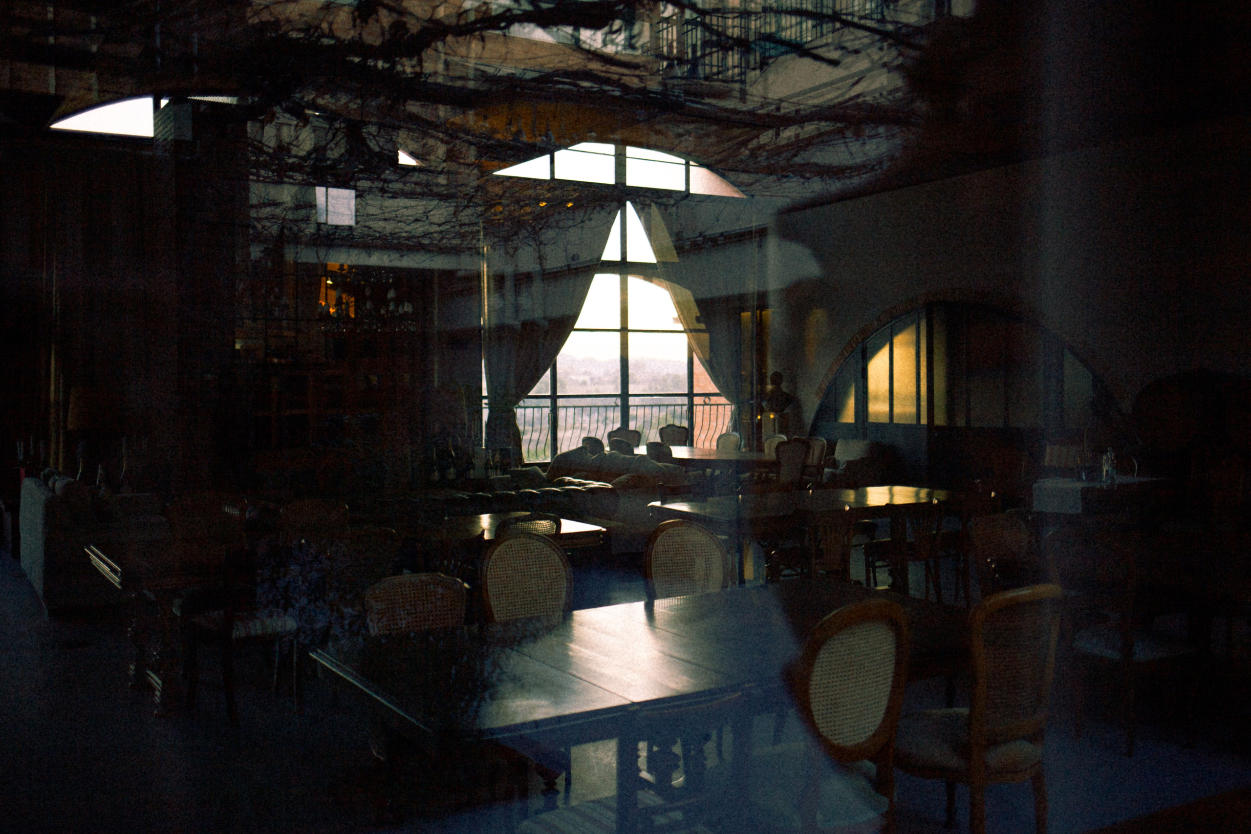 Mi cumpleaños y la bodega. Marina Kálcheva – Photographer, Videographer & Visual Artist in Barcelona