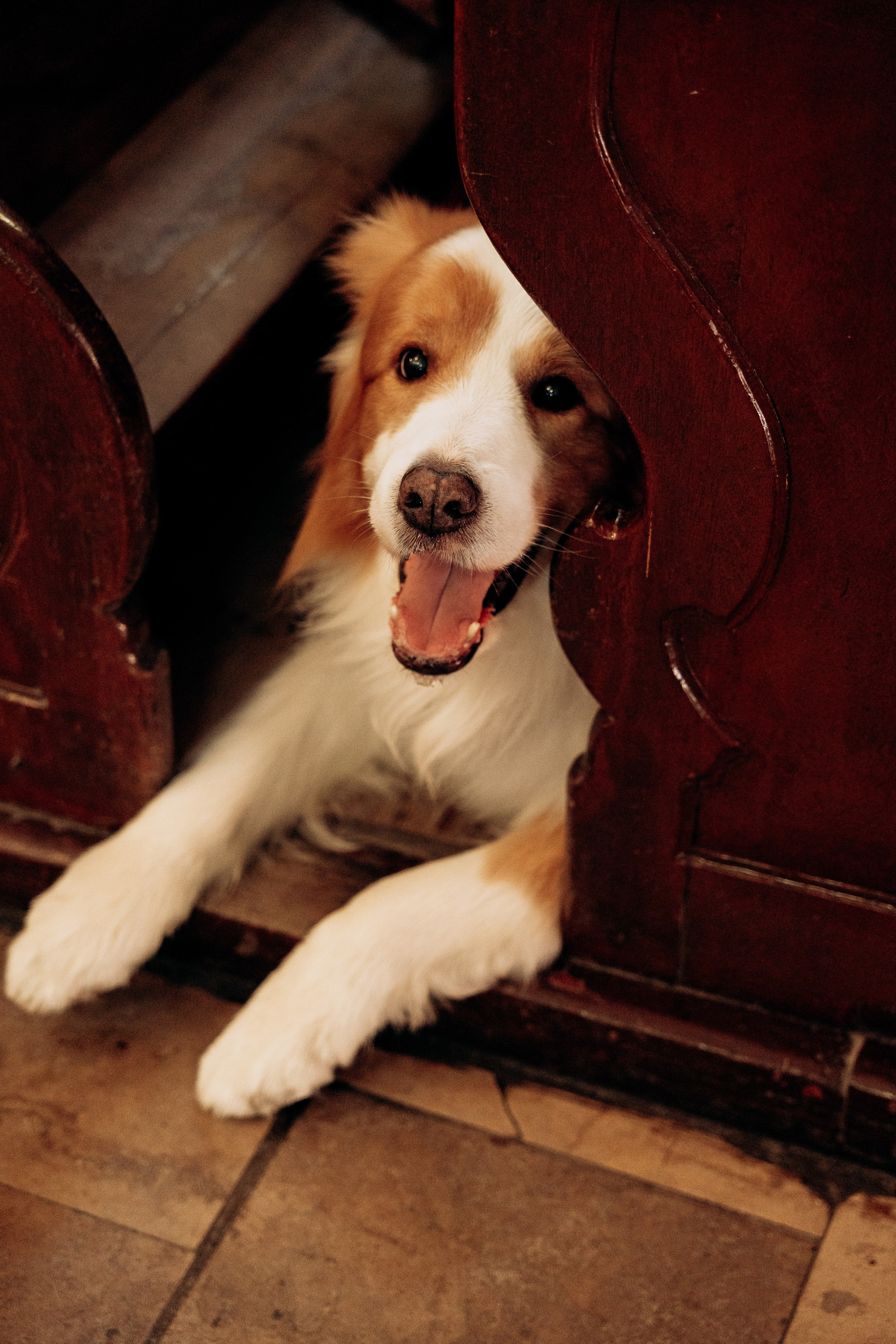 D&P. SL Wedding Photo: ponadczasowa 💍 fotografia ślubna | Wrocław & Europa