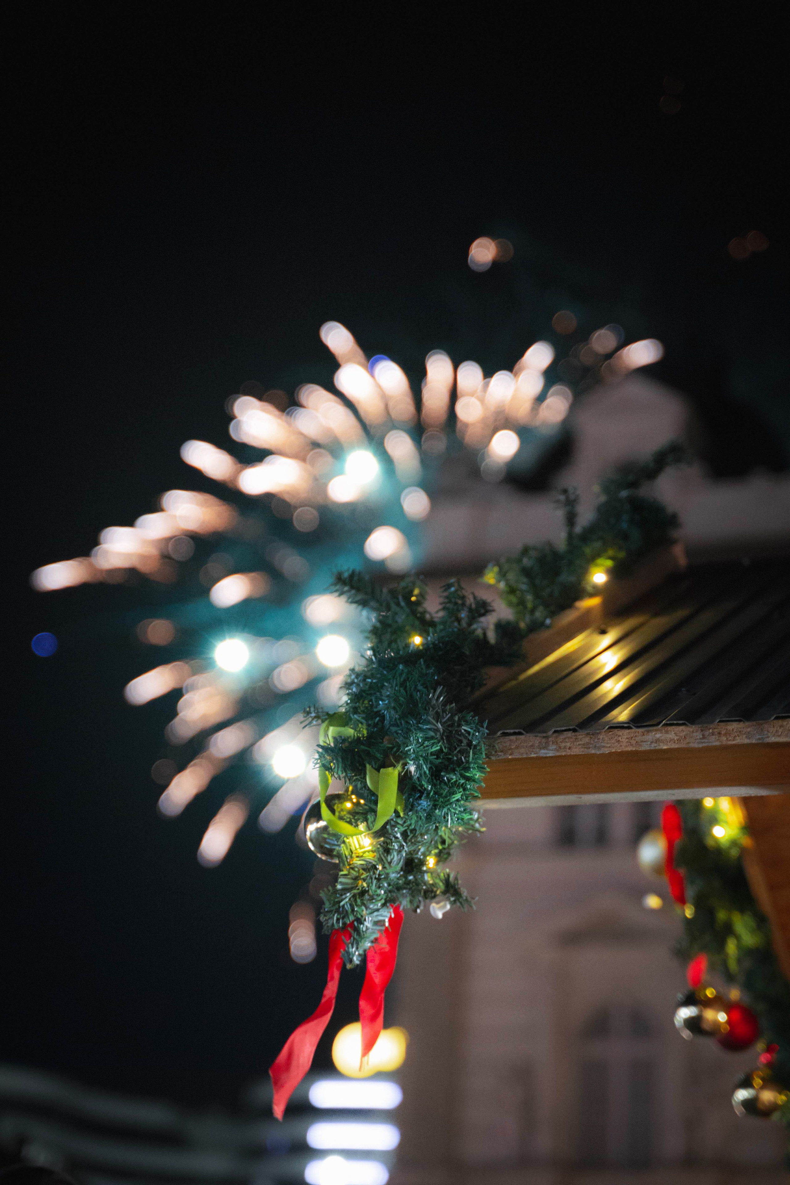 Novosadski Zimzolend. Жуков Студио