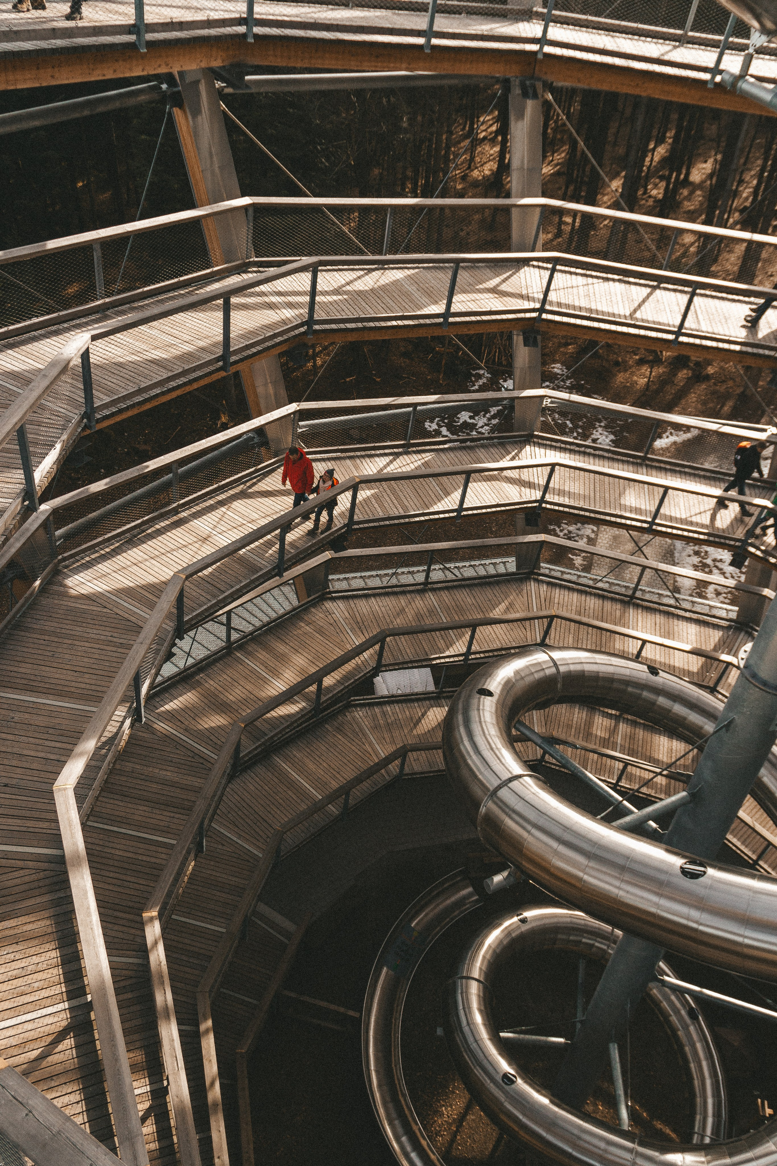 Над вершинами деревьев Baumwipfelpfad. Фотограф в Германии — Мария Чистякова