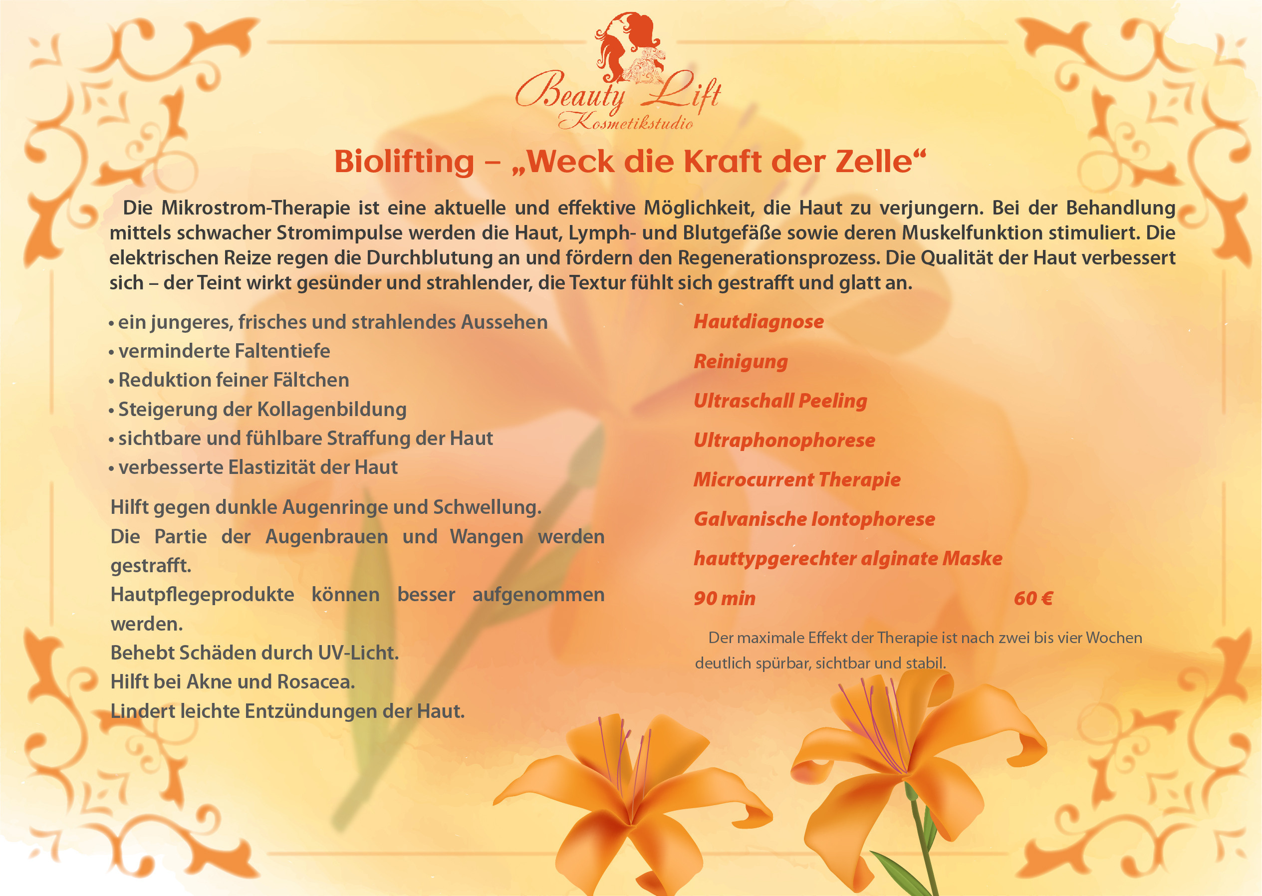 Буклеты. Брошюры. Каталоги. Рекламное агентство в Германии