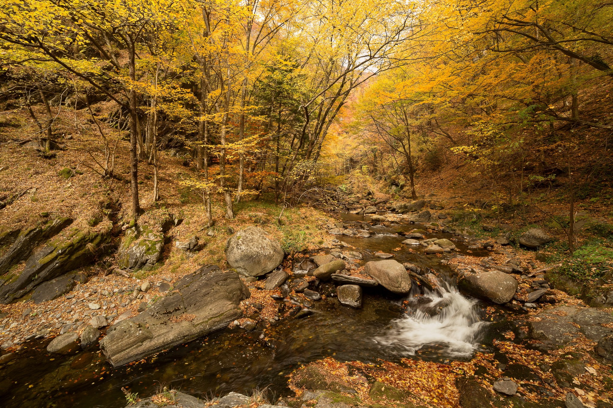Планини. Александър Сандев - личен сайт на фотографа