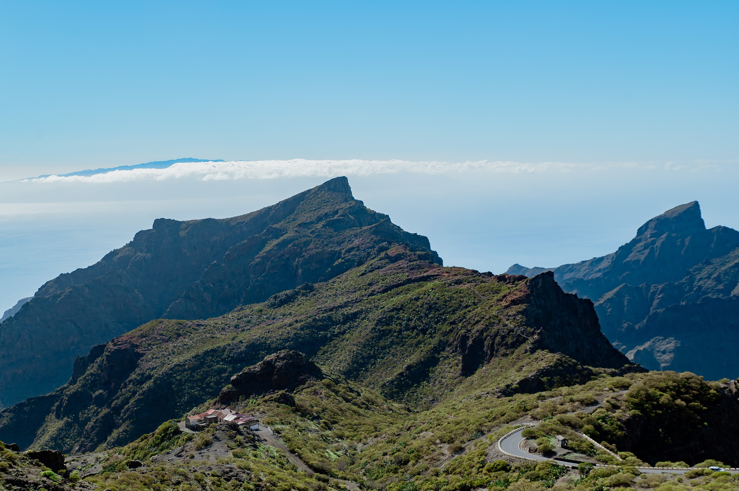 Tenerife. Bojana Žuža fotograf u Beogradu 📷 Belgrade photographer