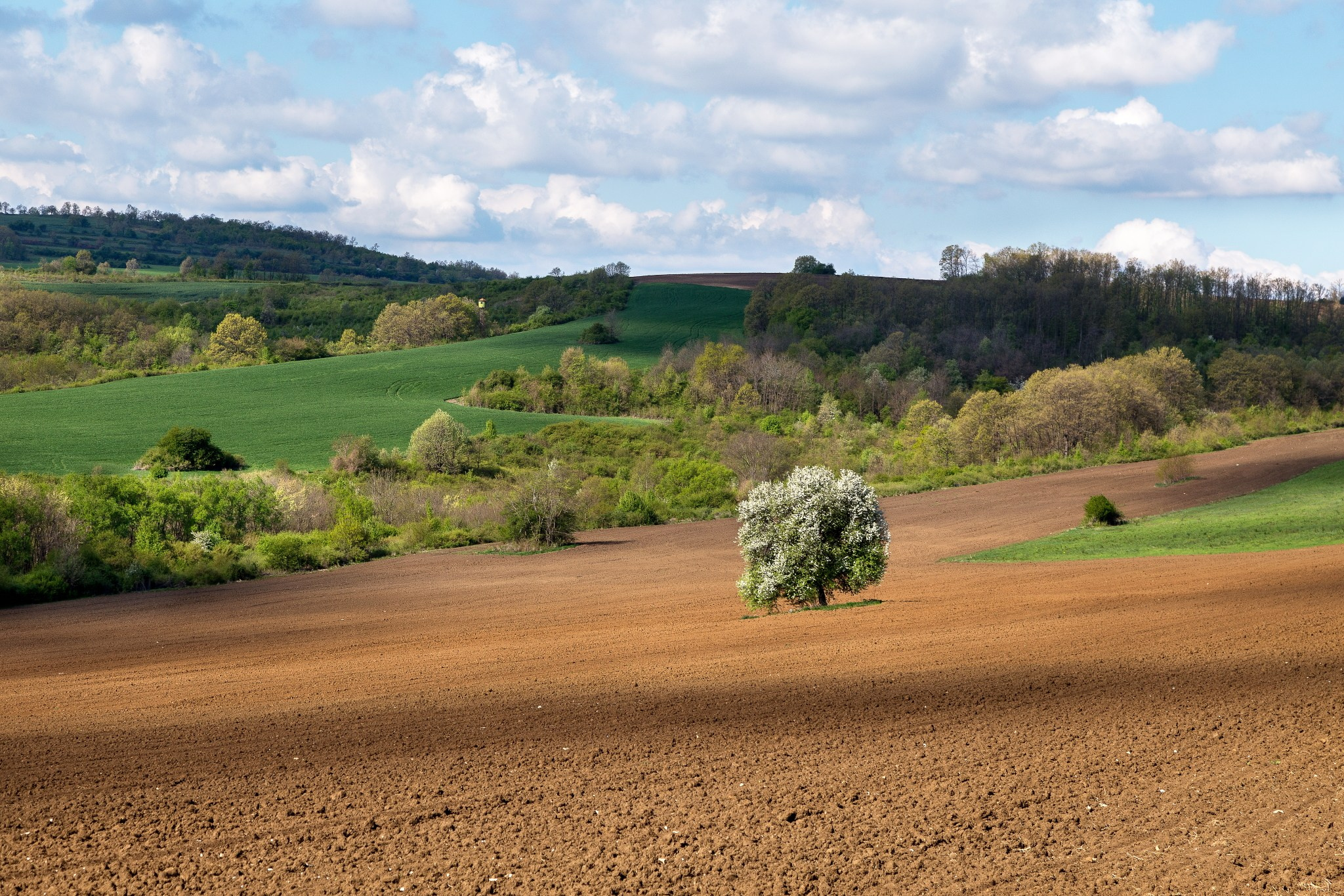 Планини. Александър Сандев - личен сайт на фотографа