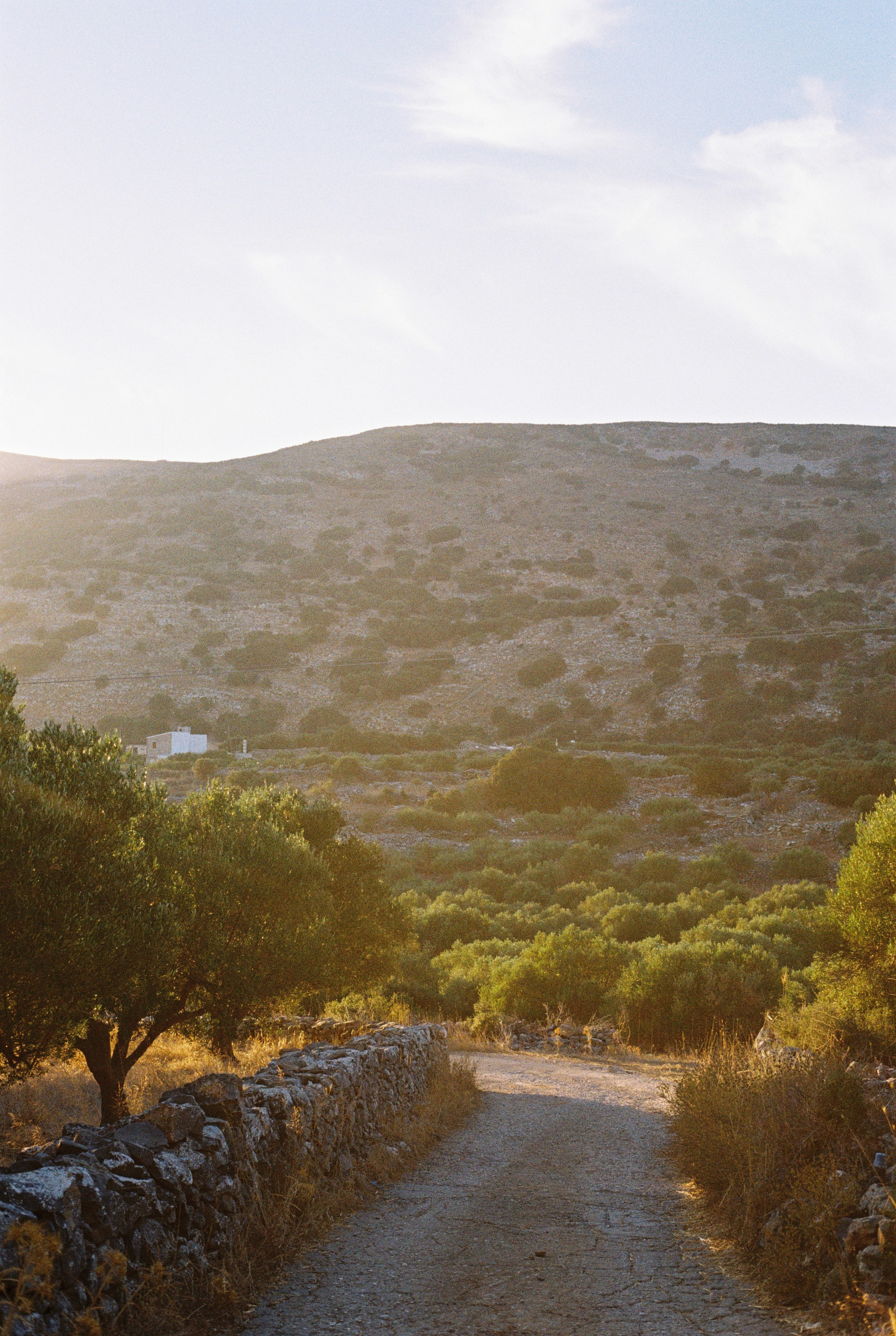 F I L M  P H O T O S