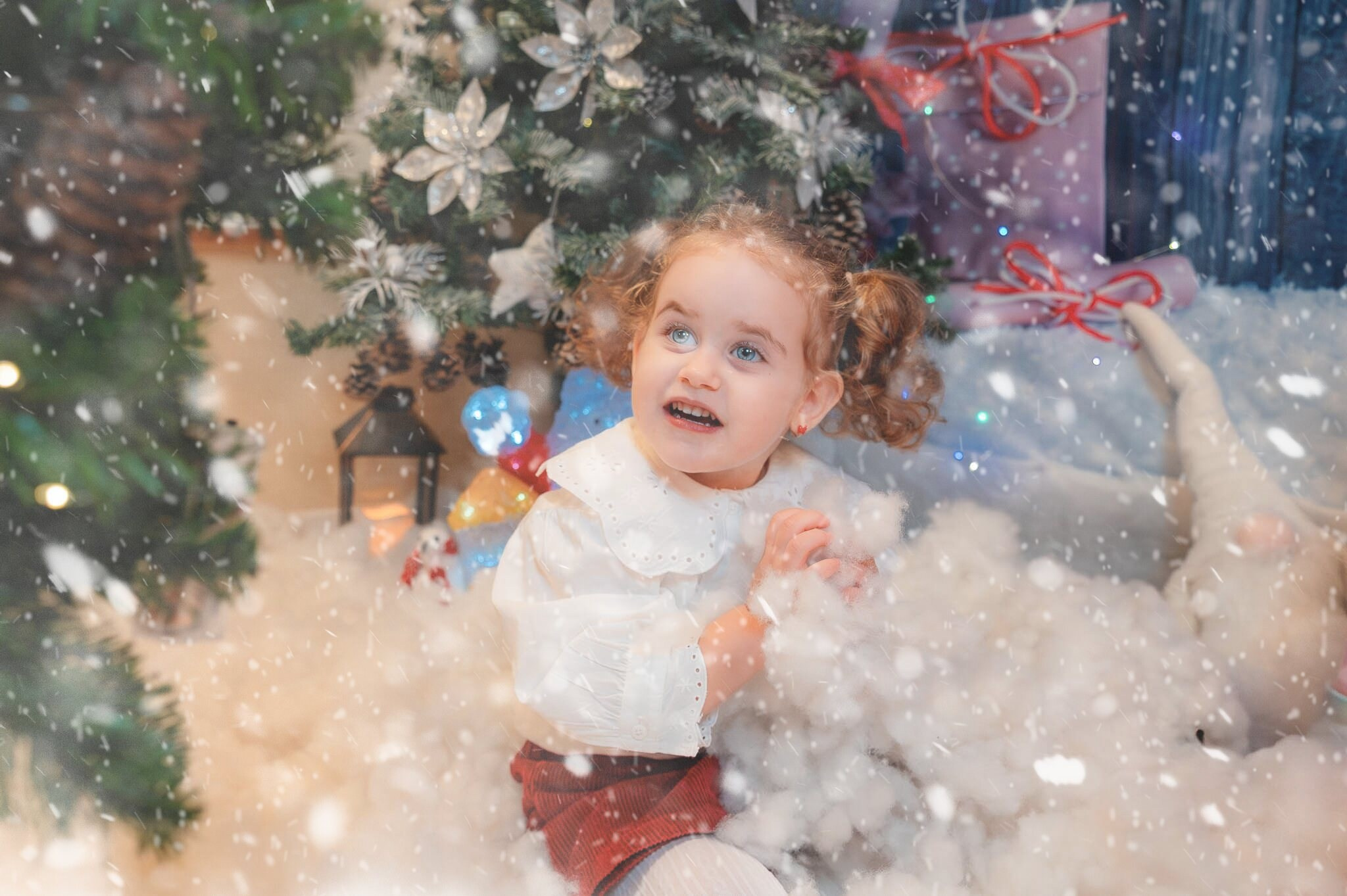 Sedinta Craciun Ioana