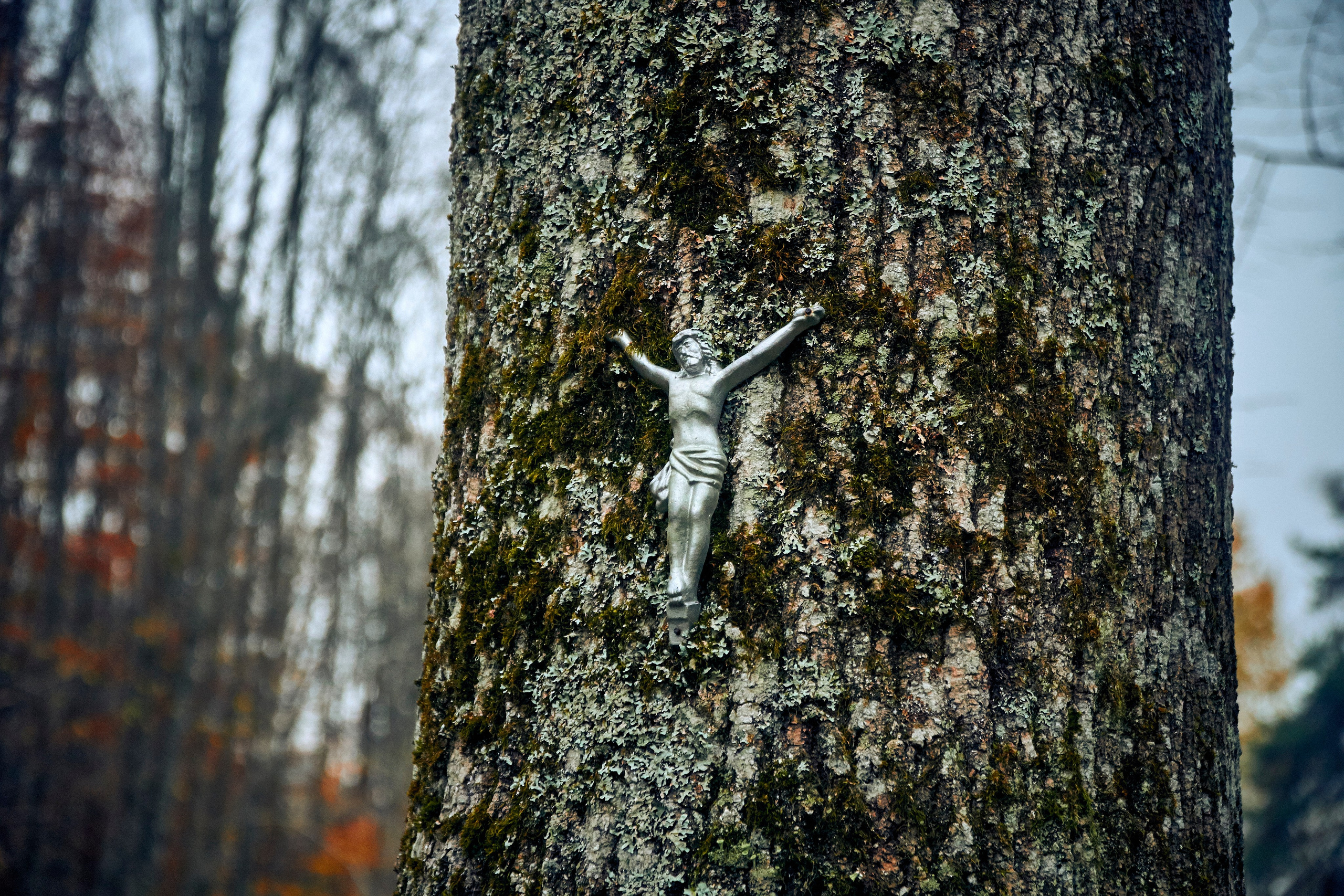 Bieszczady - tu zatrzymuje się czas. Andriej Szypilow - Fotografia & Wideografia