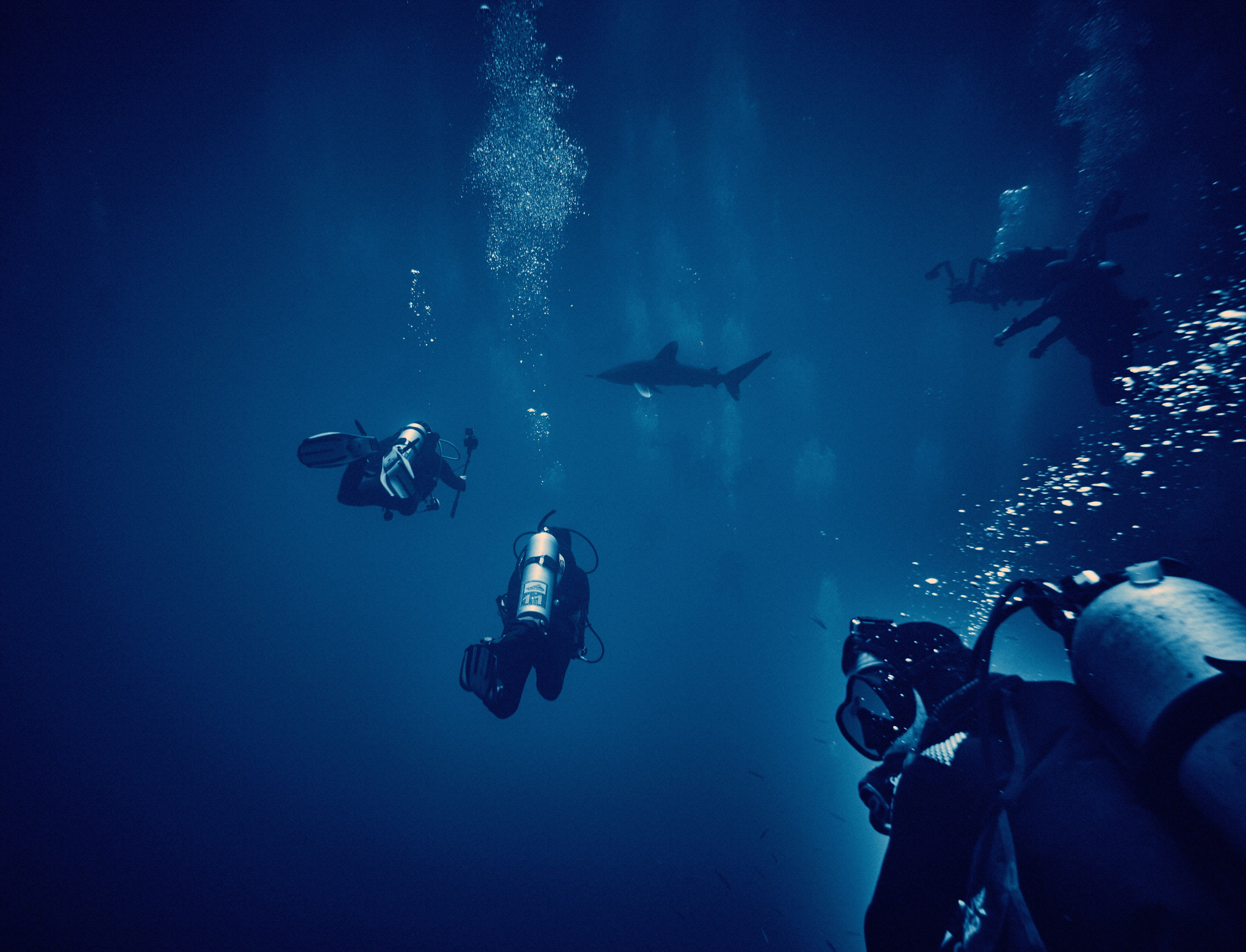 2023-11 - Diving Safari Deep South Egypt. Андрей Шипилов — Фотография & Видеография