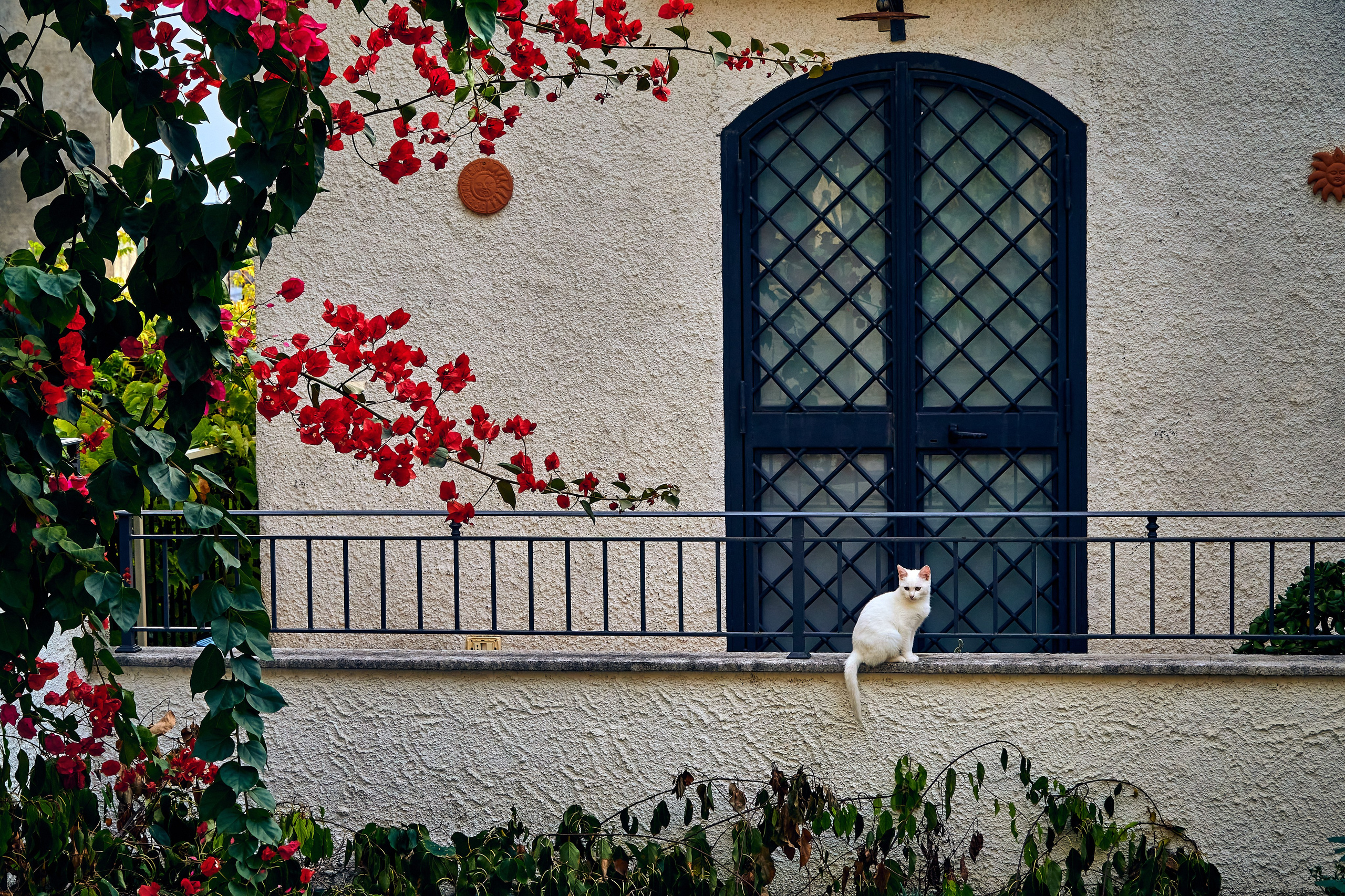 Bella Calabria. Andriej Szypilow — Photography & Videography