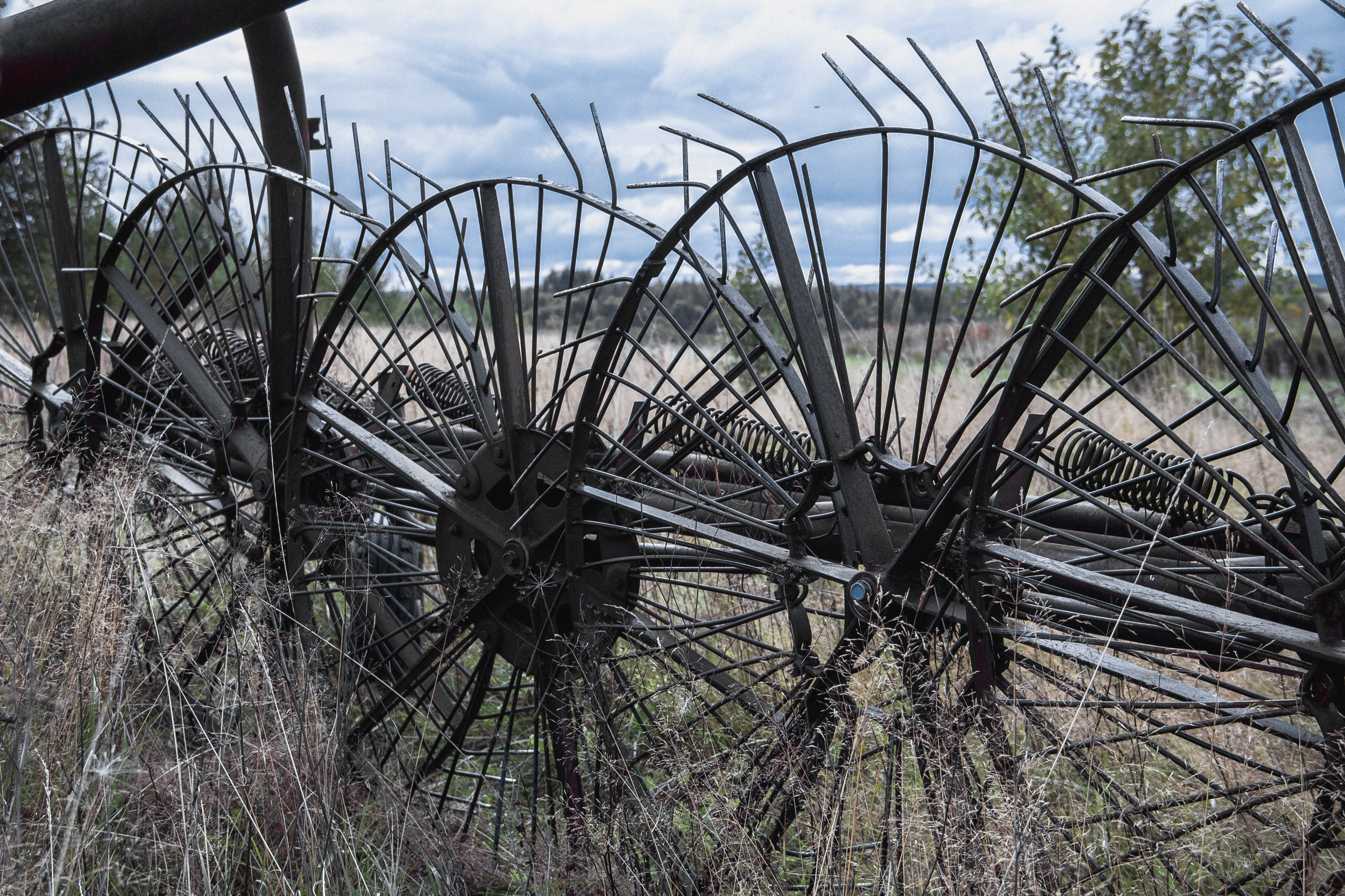 Заброшенная Россия: Мантурово. Фотограф в Германии — Мария Чистякова