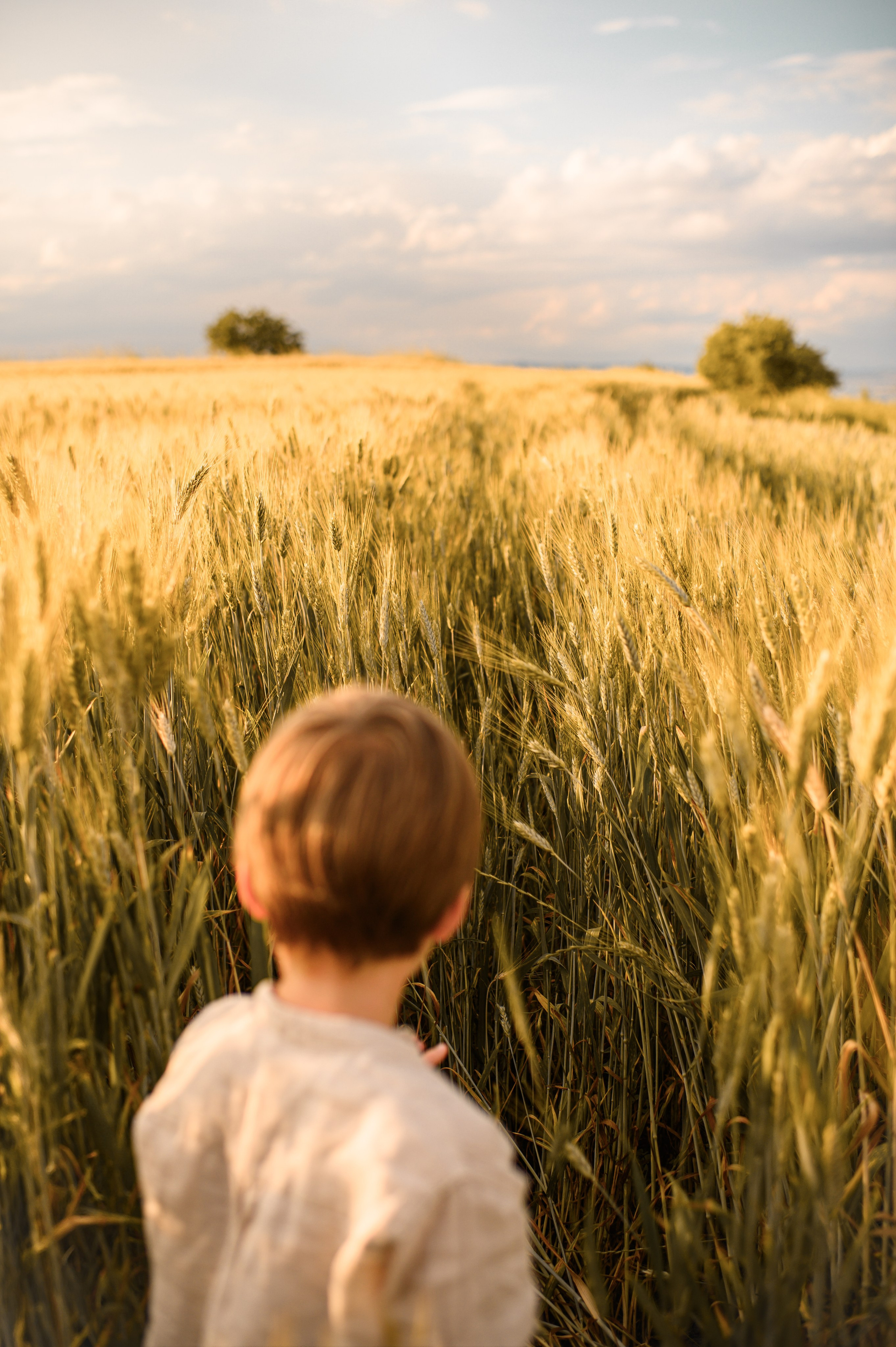 Wheat fields. Family, children, portrait, and event photography in Thessaloniki