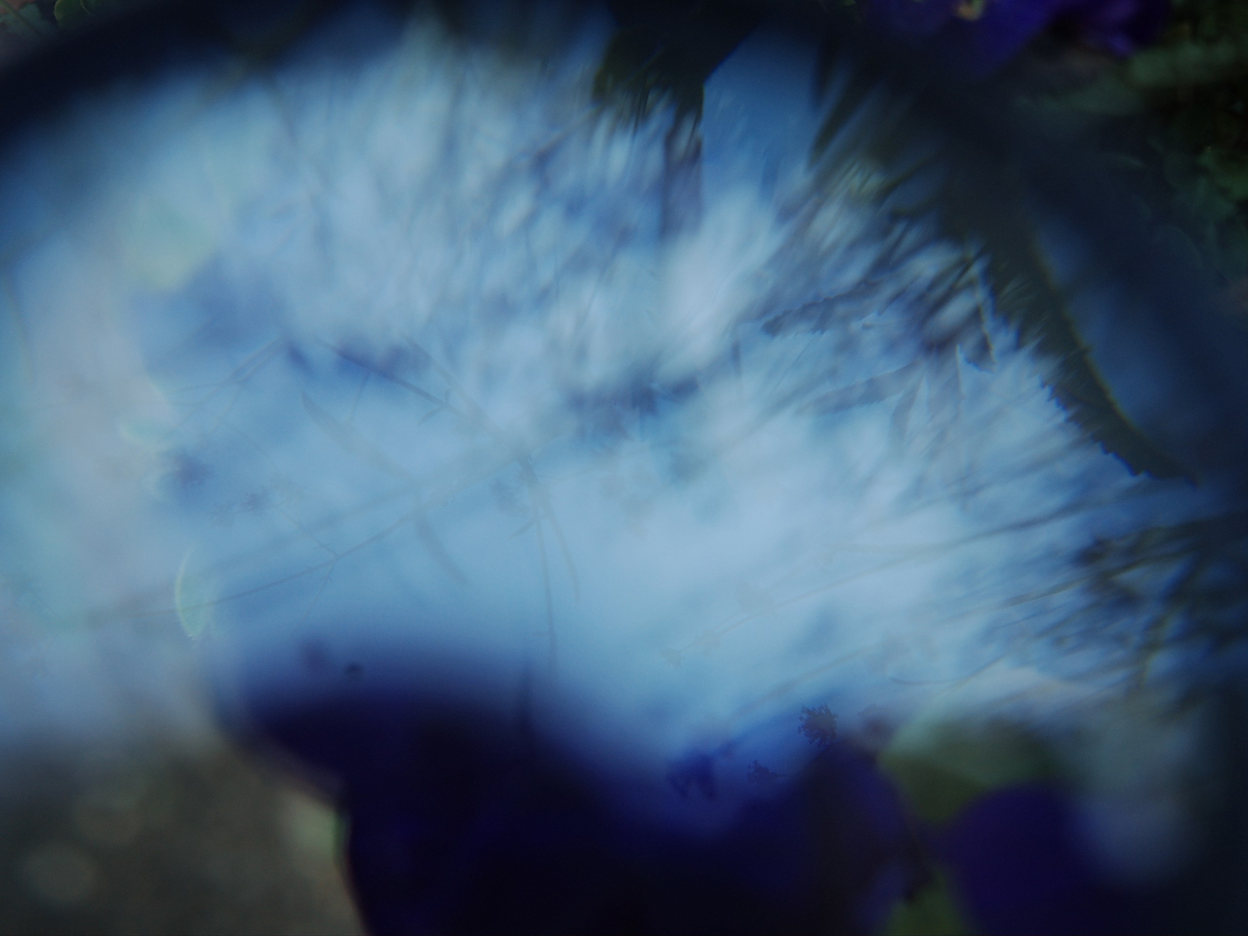 Prints. Victoria Dini. Art photography in London / Folkestone, UK