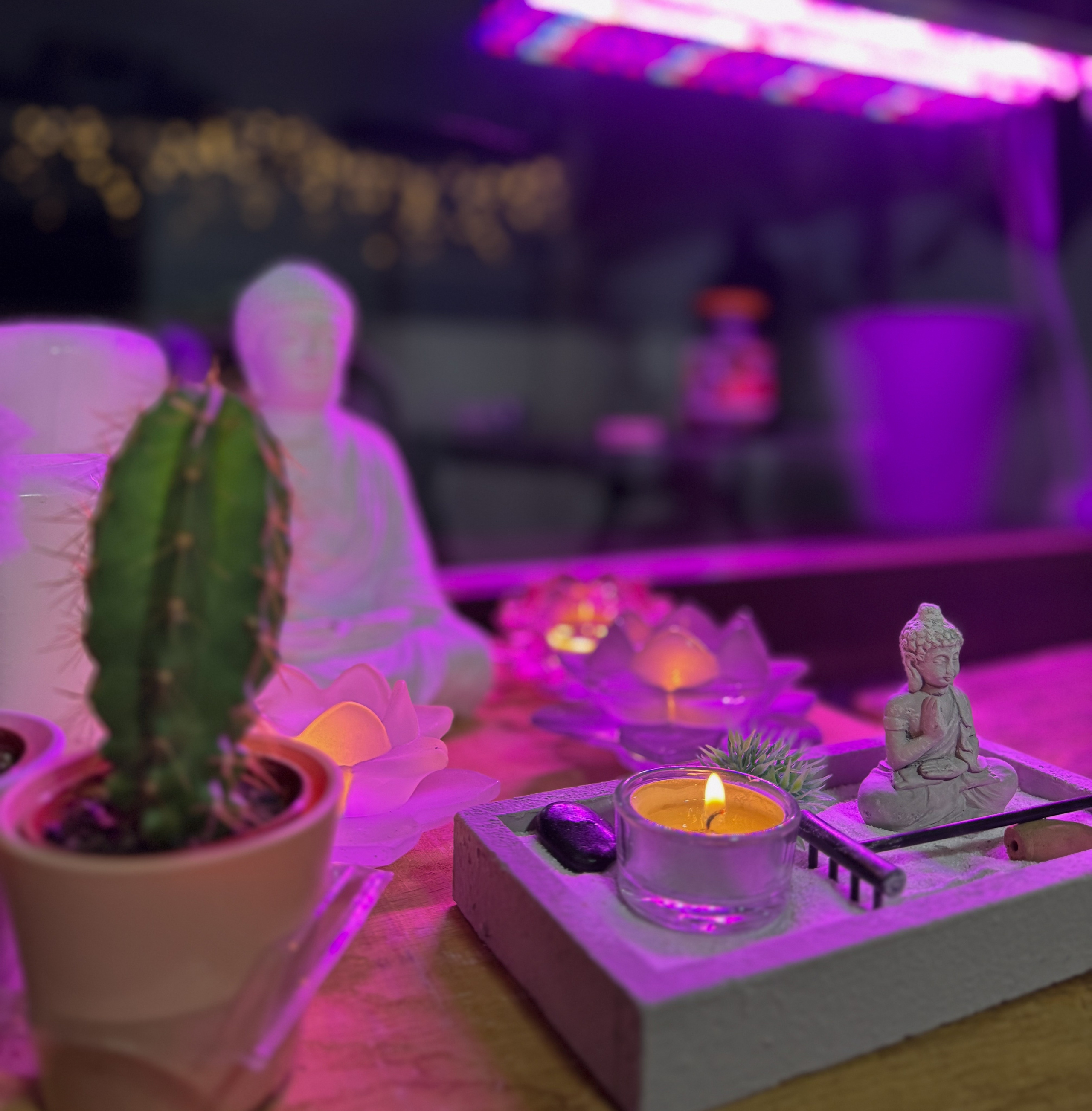 Ästhetik. Fotografin Kati Rebling