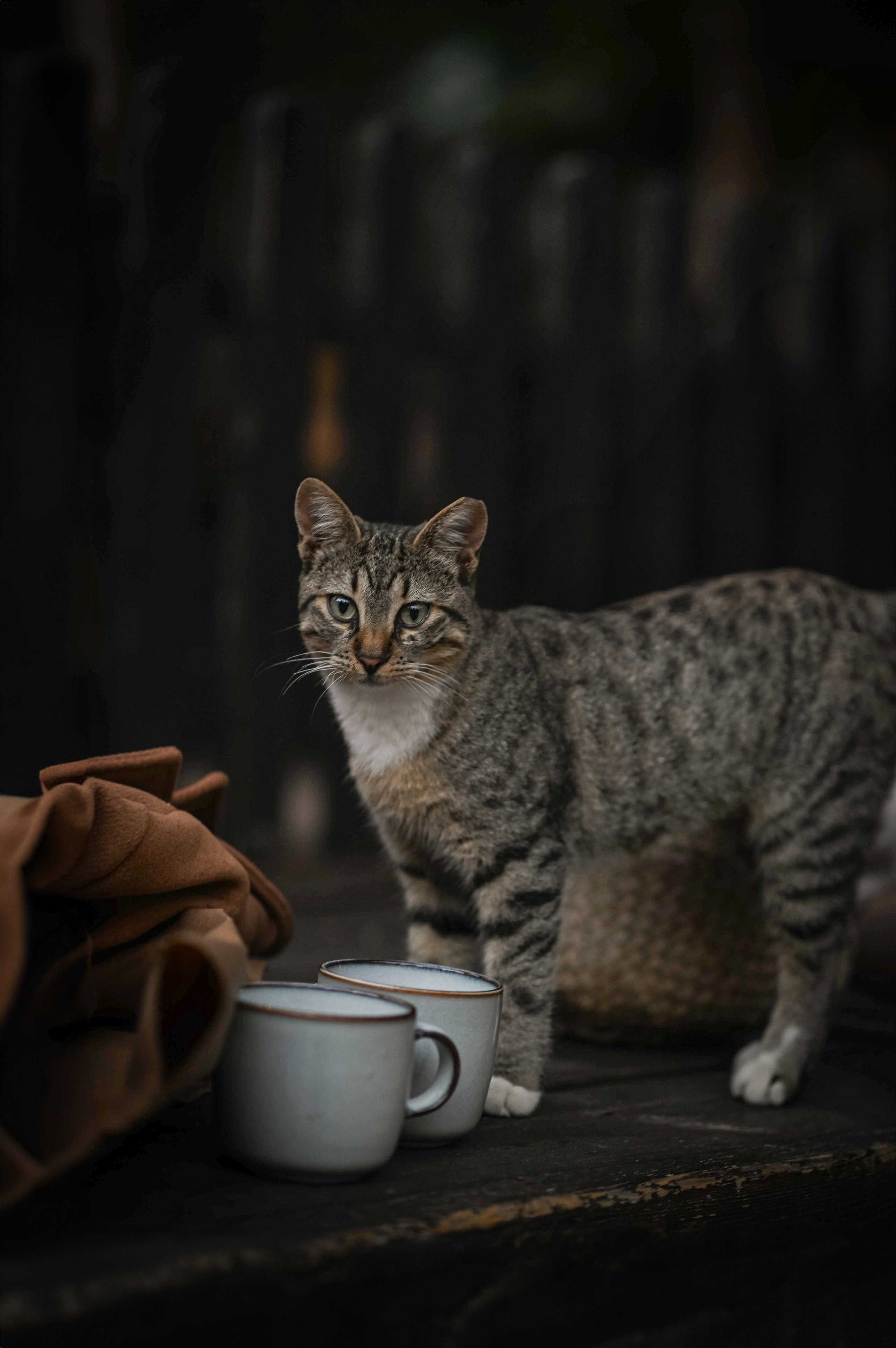 KIDS VINTAGE. Семейная, детская, портретная и предметная фотосъемка в Салониках