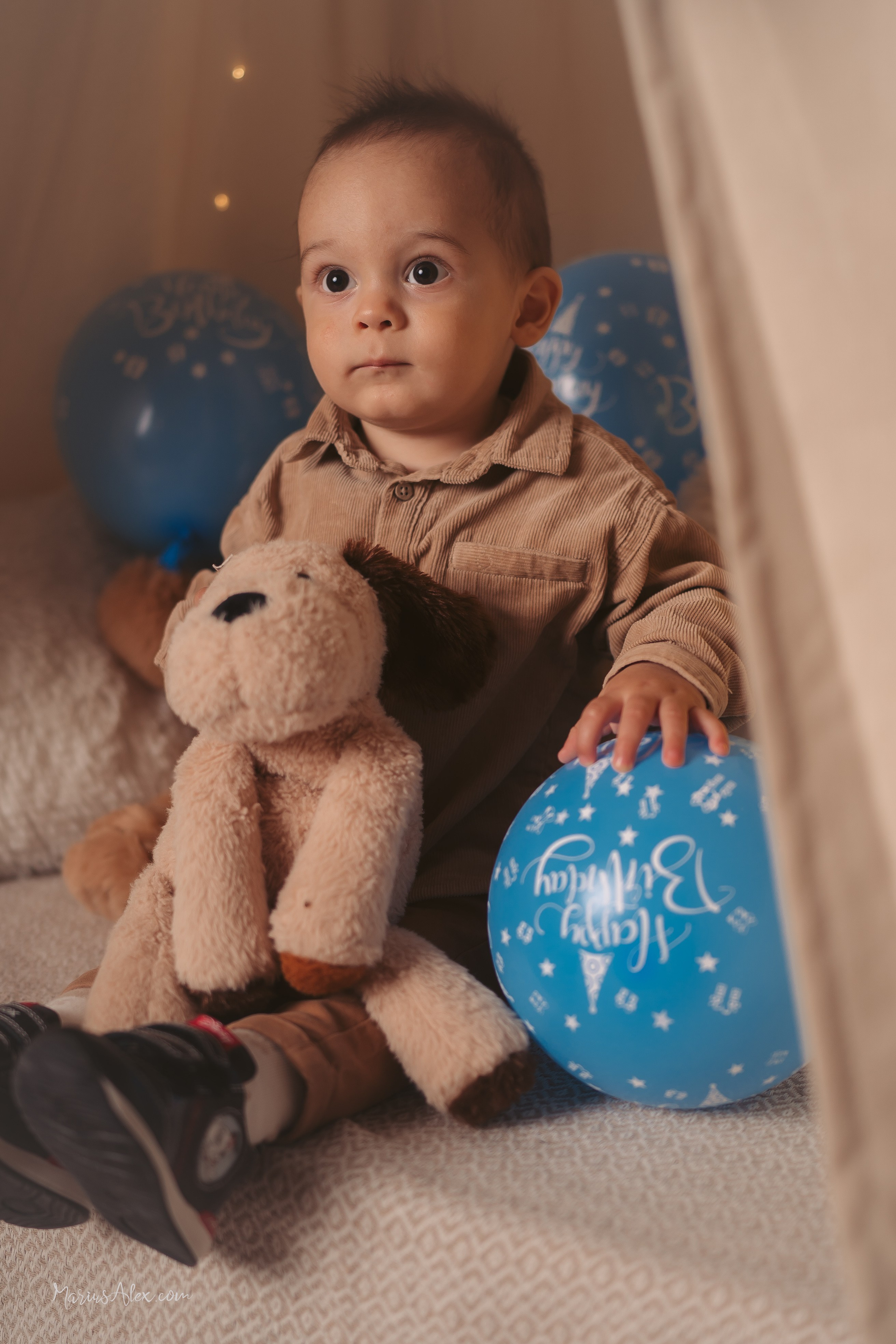 David - 1 anisor. Marius Alex fotograf de eveniment si portret din Suceava