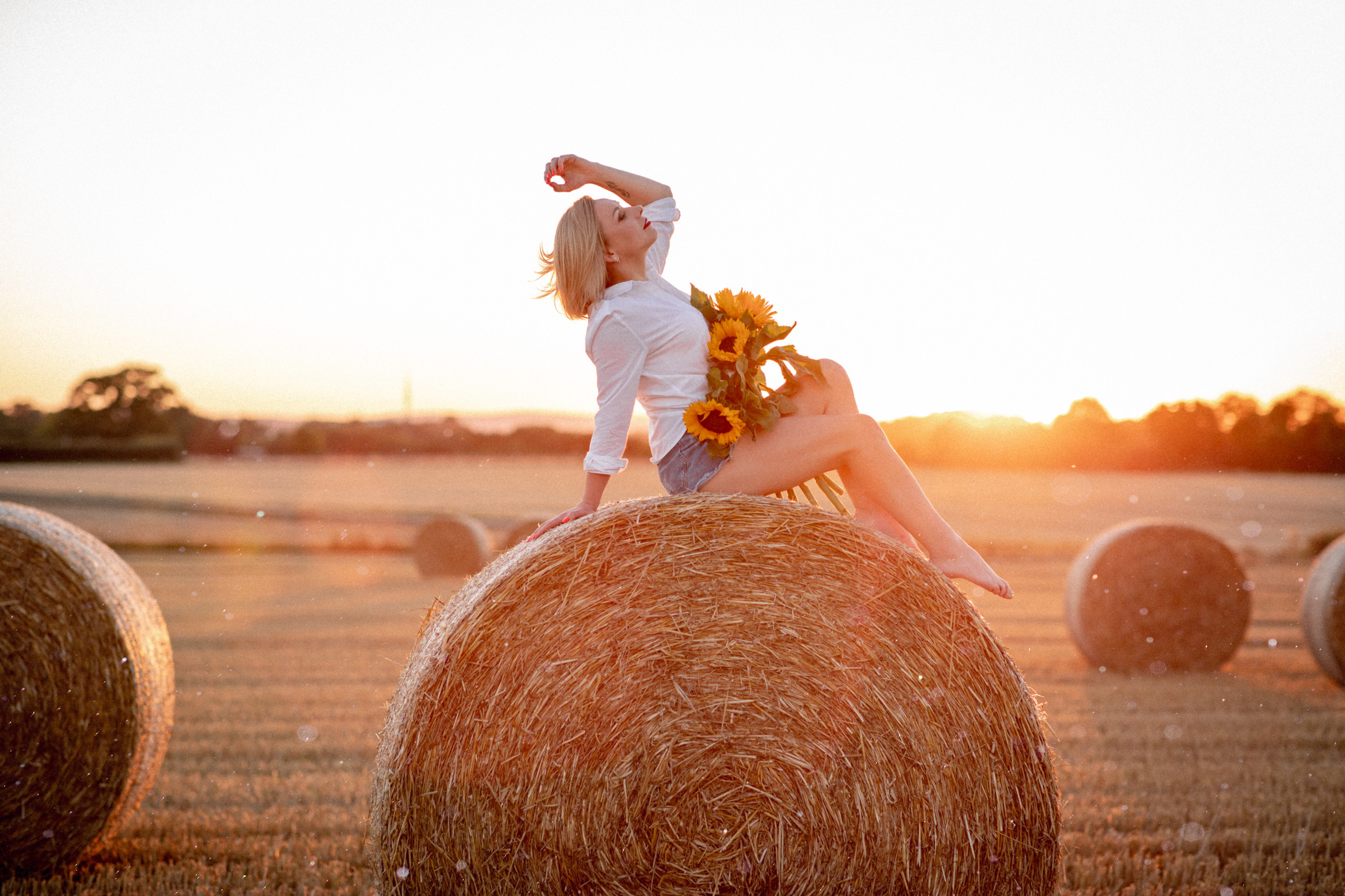 Sonnenuntergang. Hochzeitfotograf in Bielefeld