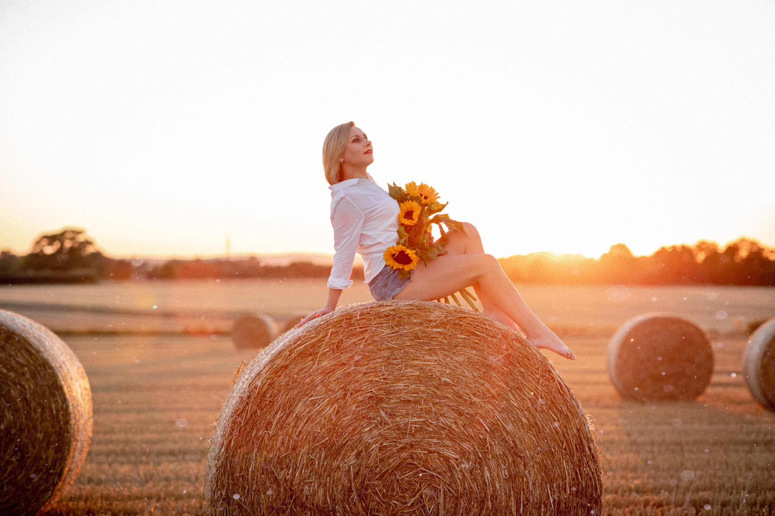Sonnenuntergang. Hochzeitfotograf in Bielefeld