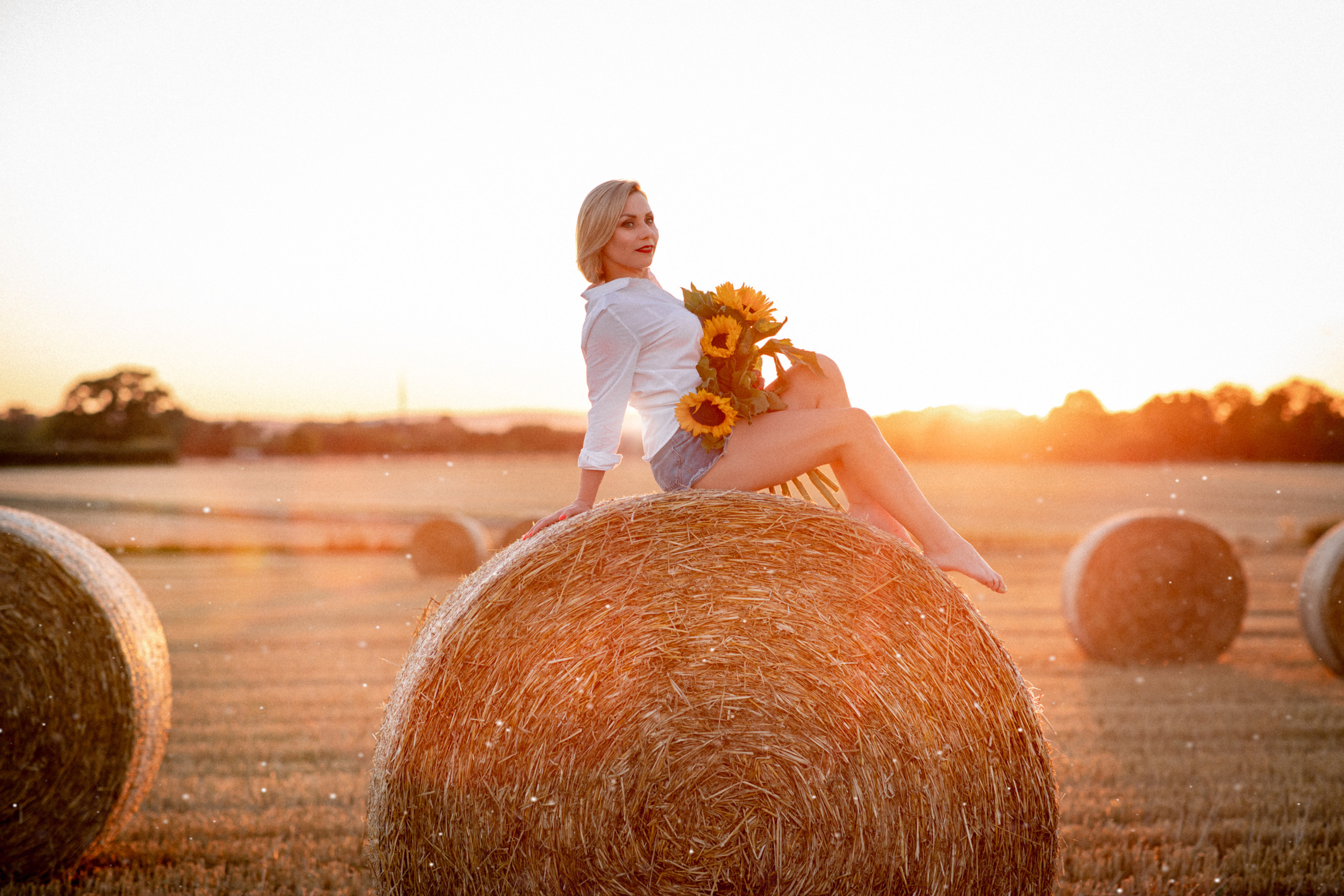 Sonnenuntergang. Hochzeitfotograf in Bielefeld
